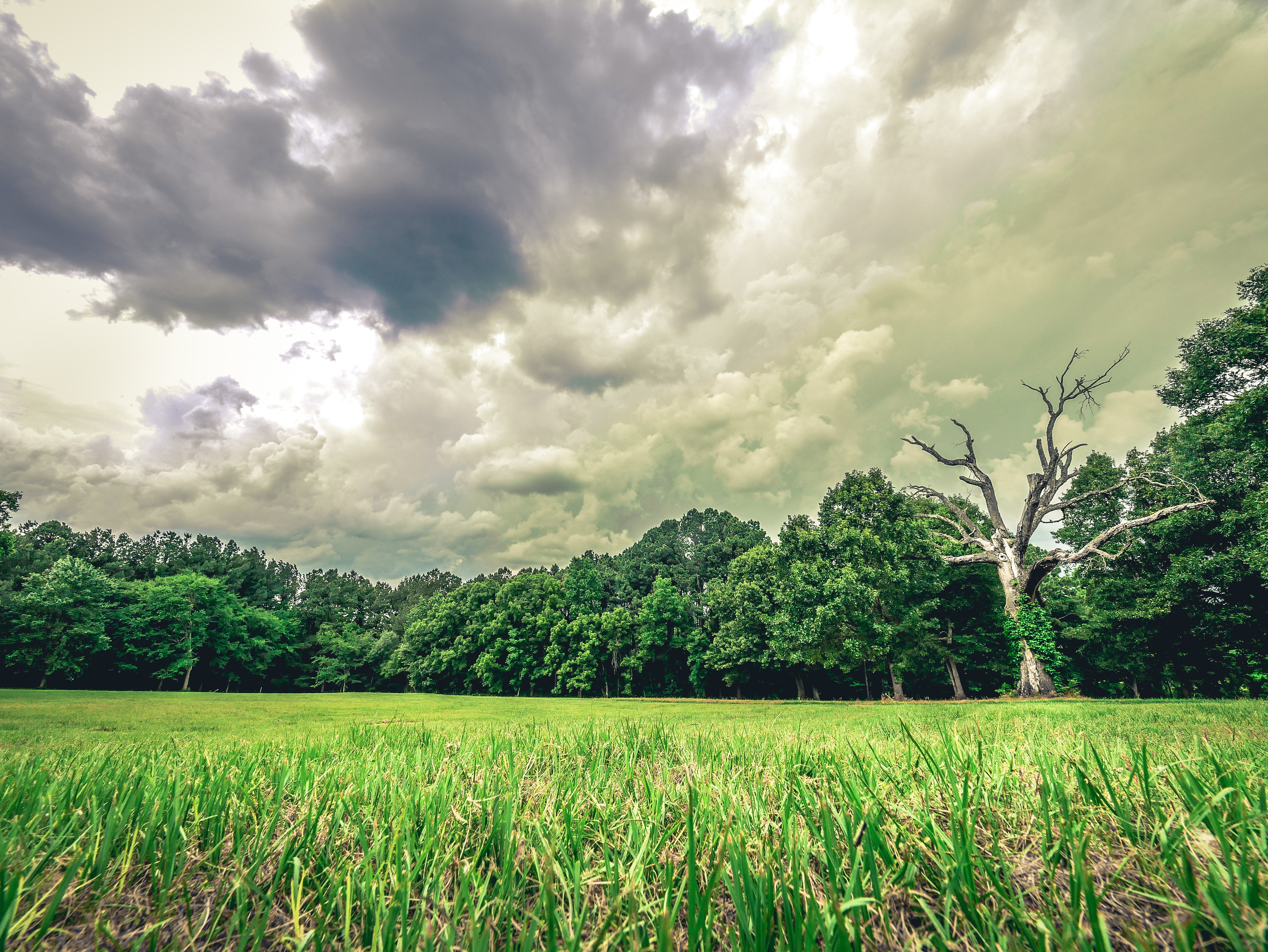 "Living Still" Durant, Oklahoma 06012019 r/okc