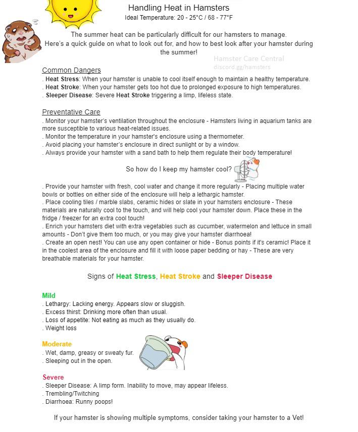A few tips for handling hot temperatures! r/hamsters