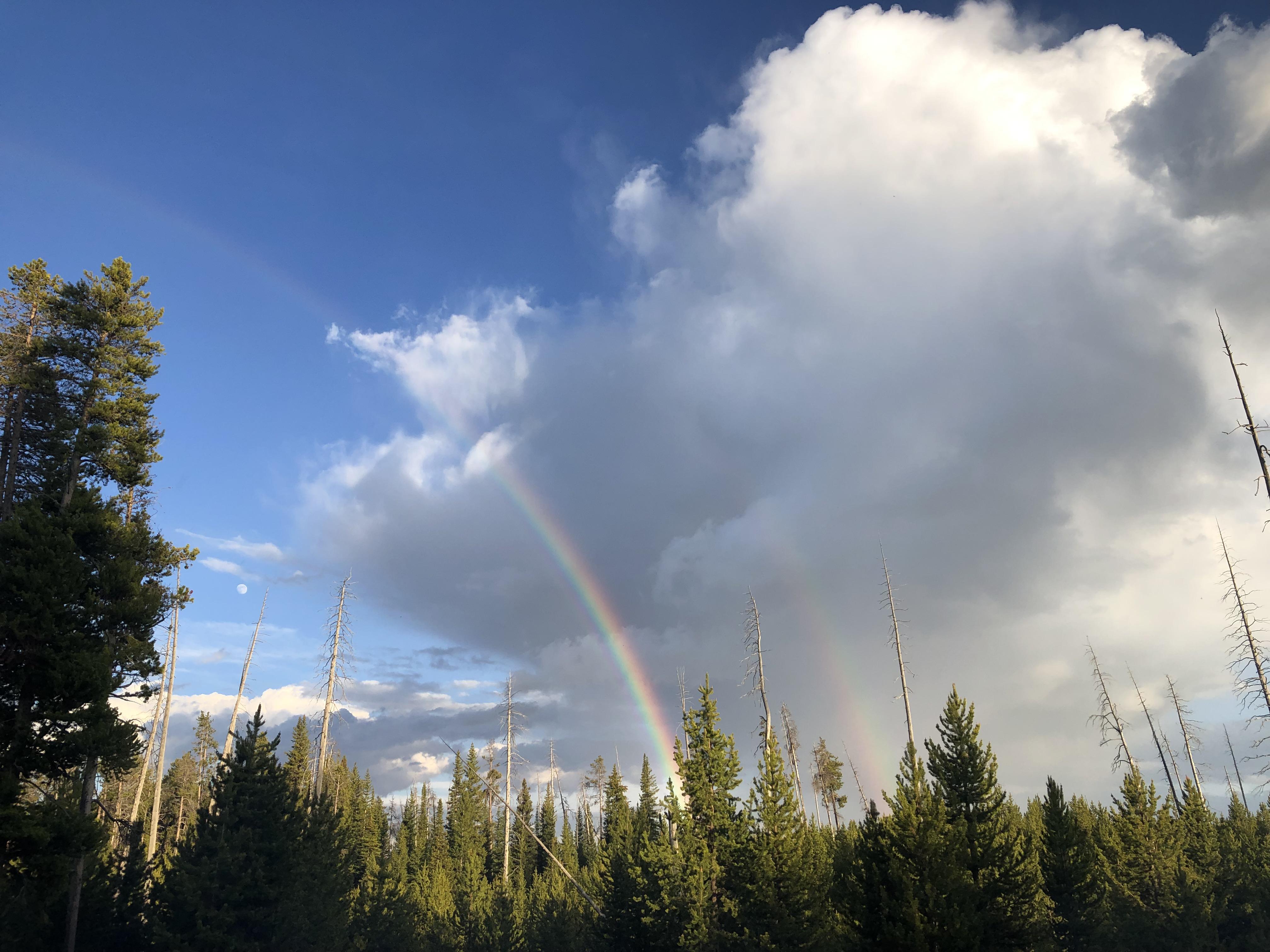 We almost didn’t go to Yellowstone because it was supposed to rain. It