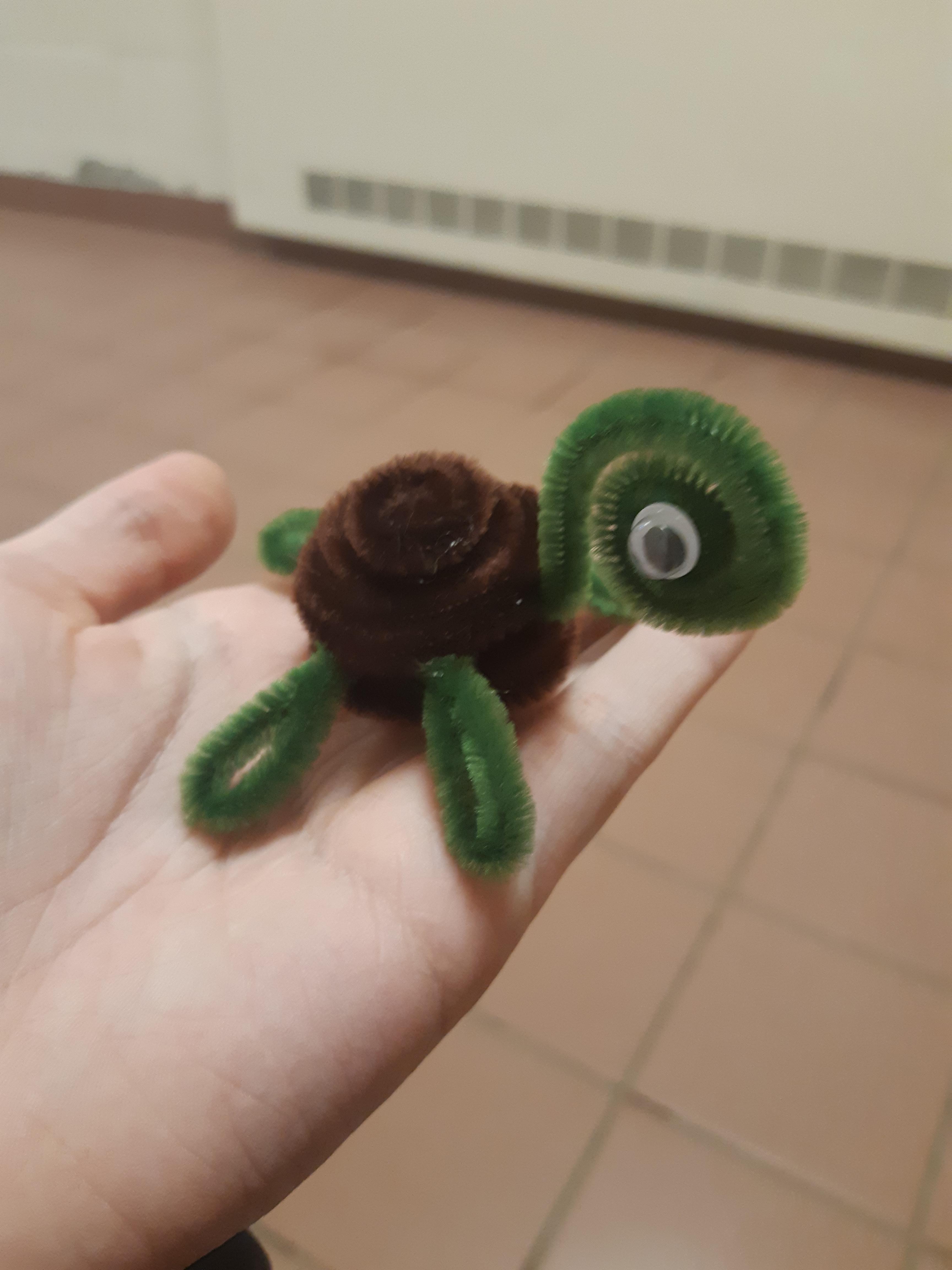 I made a pipe cleaner turtle. I named him Tony ) r/crafts