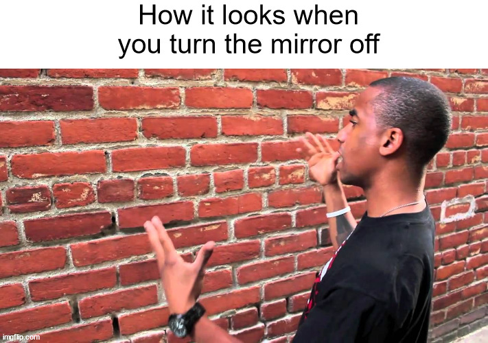 Everyone is always infront of the mirror VRchat