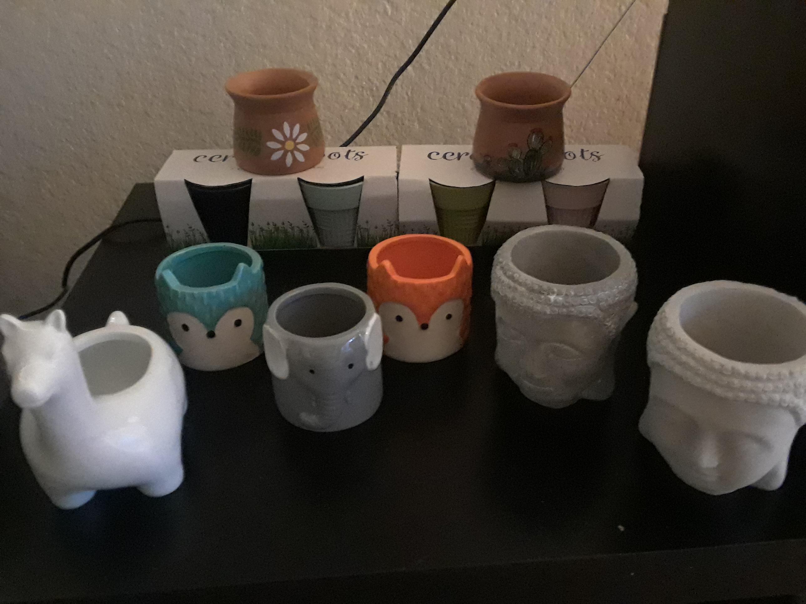 99 cent store pots, what a deal! Can't wait to plant some succulents In