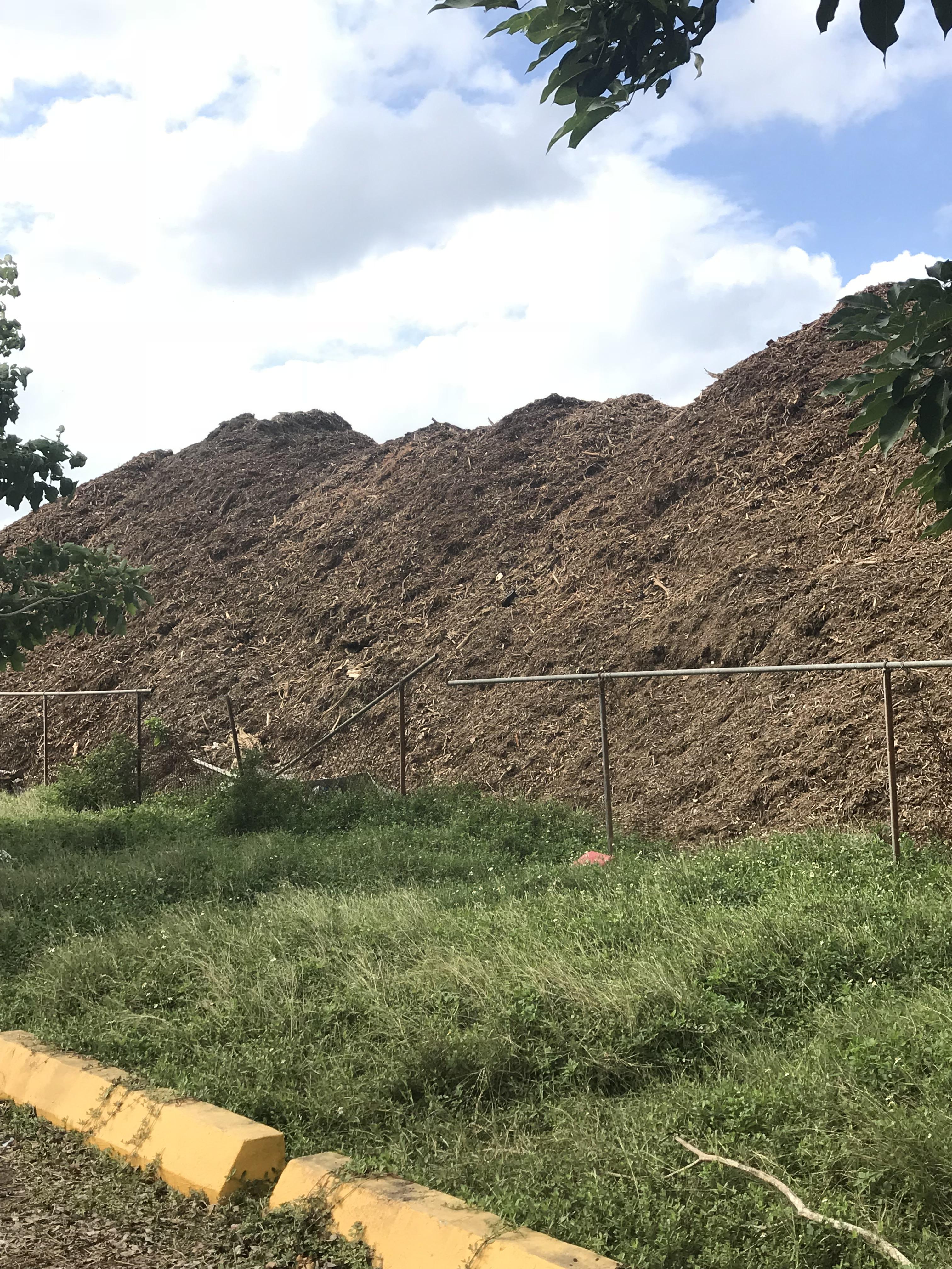 Mucho mulch r/PuertoRico