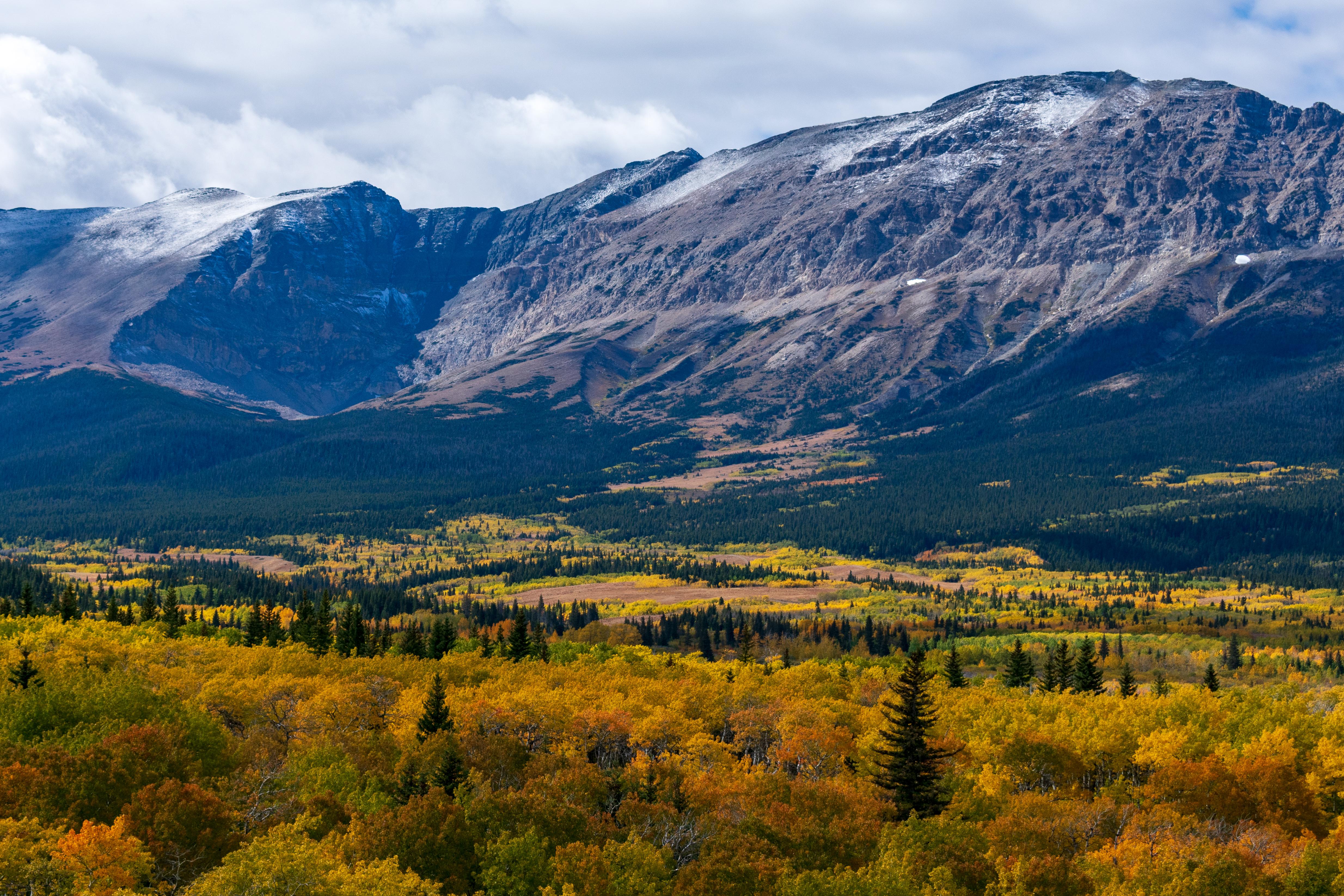 White Calf Mountain standing guard over Cut Bank Ridge, Glacier NP