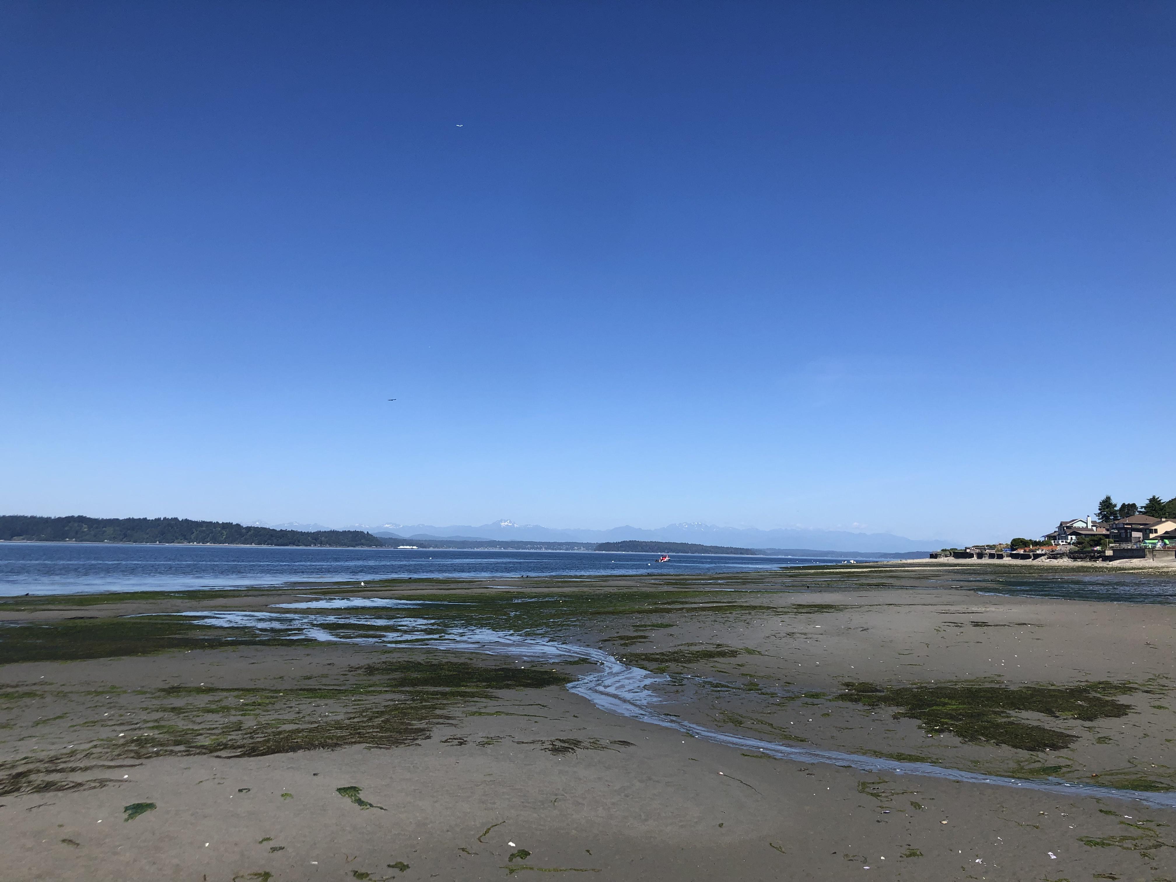 Looooowww Tide today Vashon ferry in the distance r/Seattle