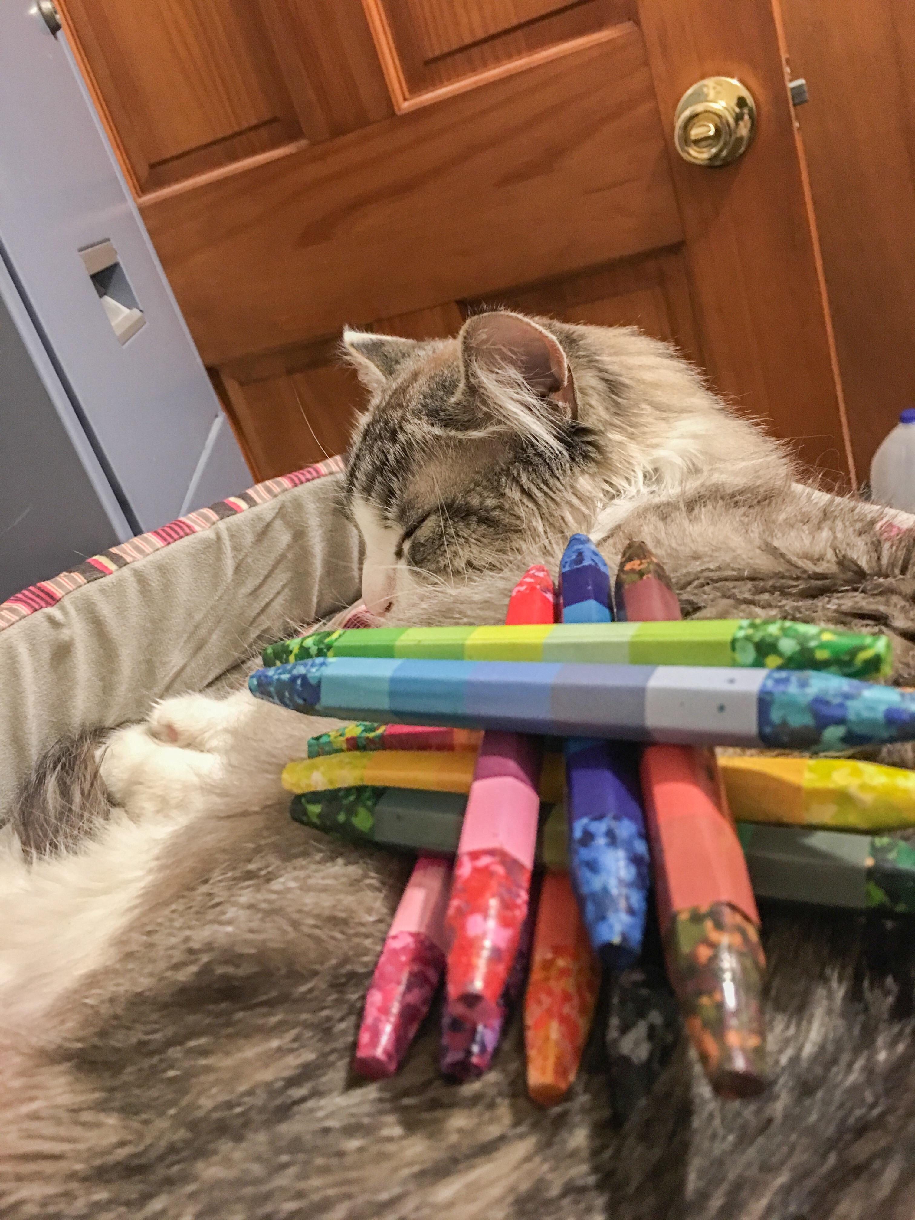 How many crayons does it take to wake the cat? r/funny