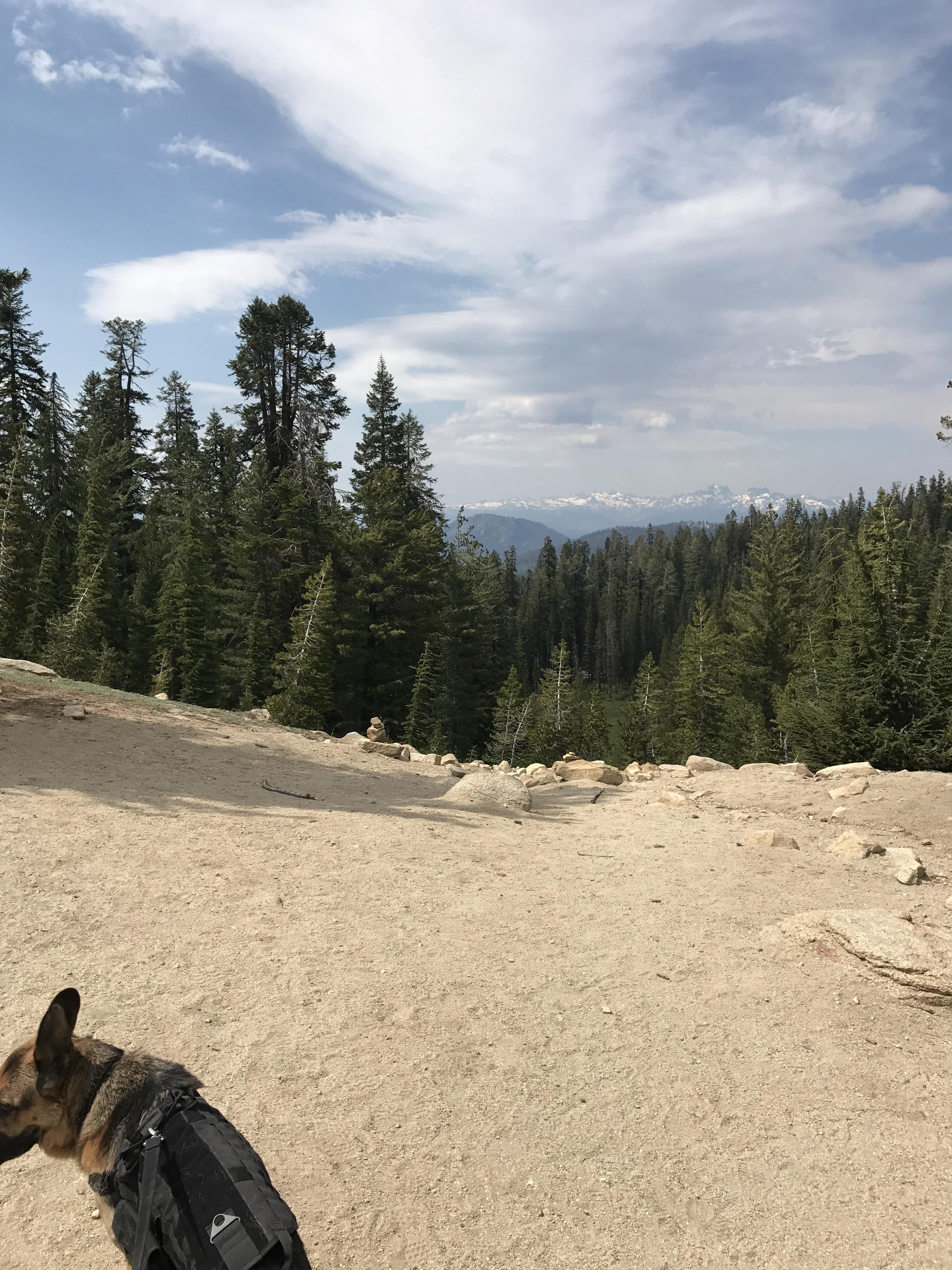 Potters Pass, Huntington Lake CA, USA (7/9/17) r/hiking