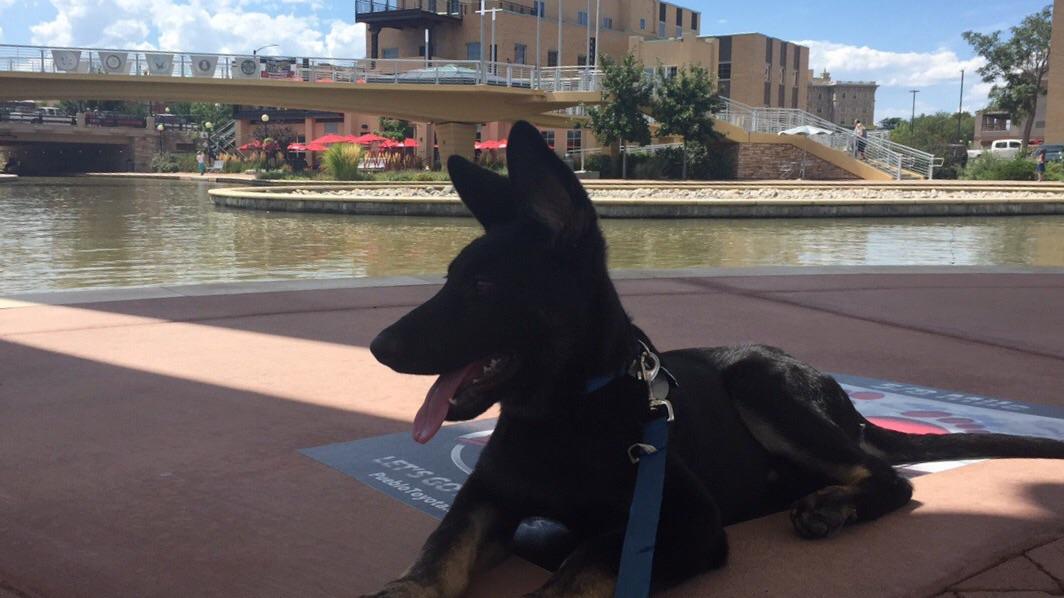 Pueblo is beautiful and dog friendly! r/pueblo