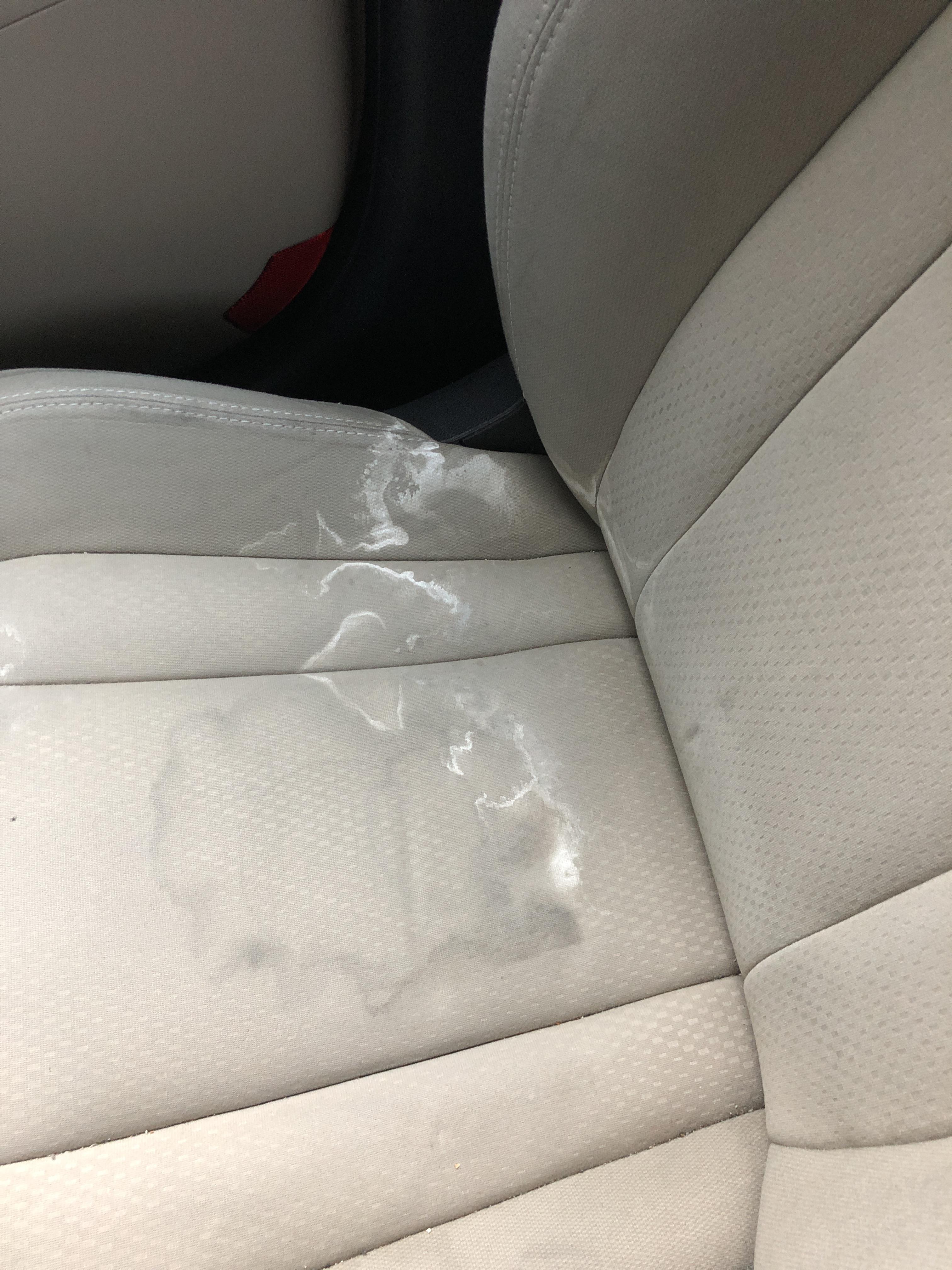 Does anyone know how to remove these white stain on my car seat? r/howto