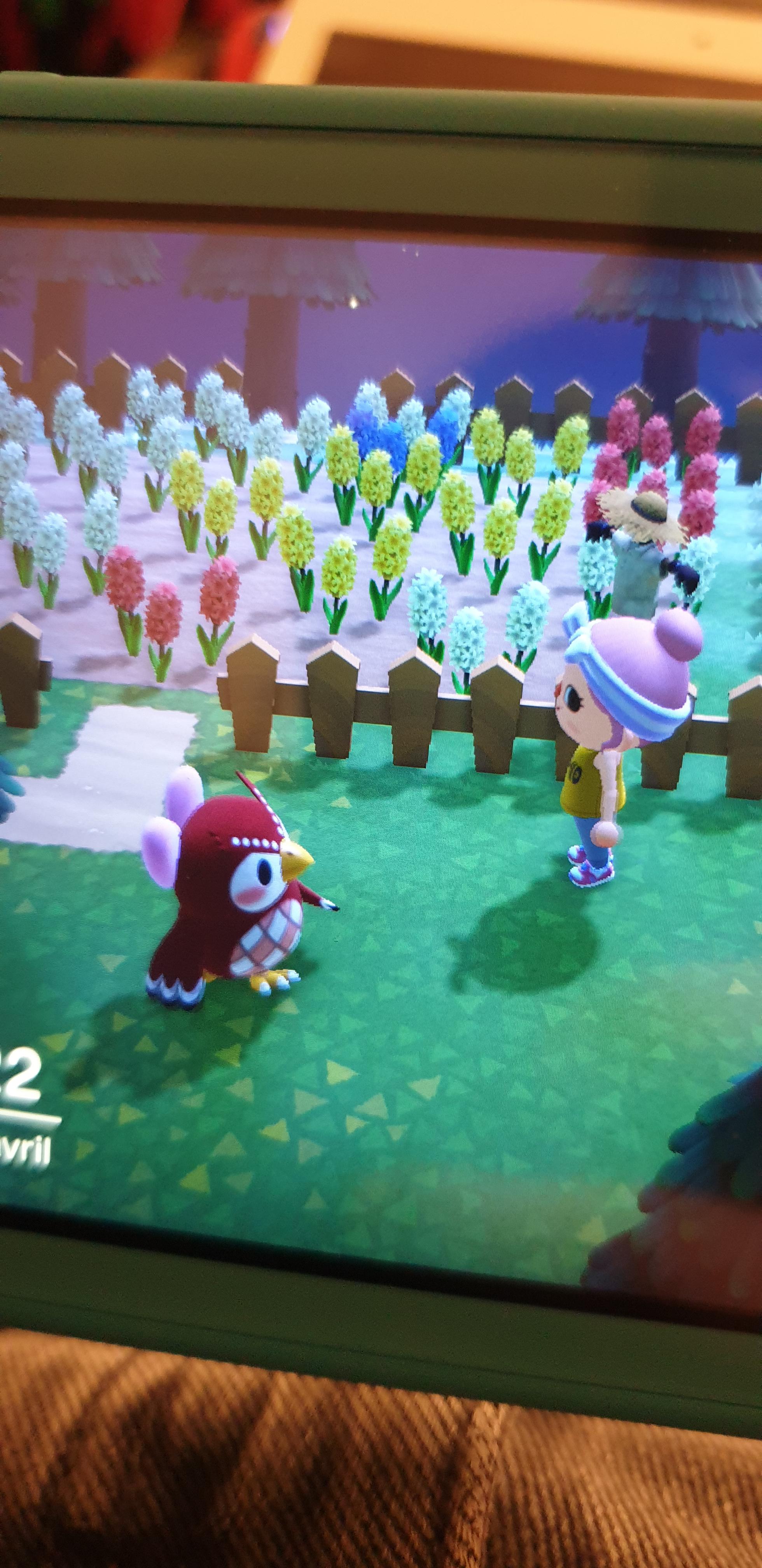 If Celeste is in town, would there be more shooting stars in the sky