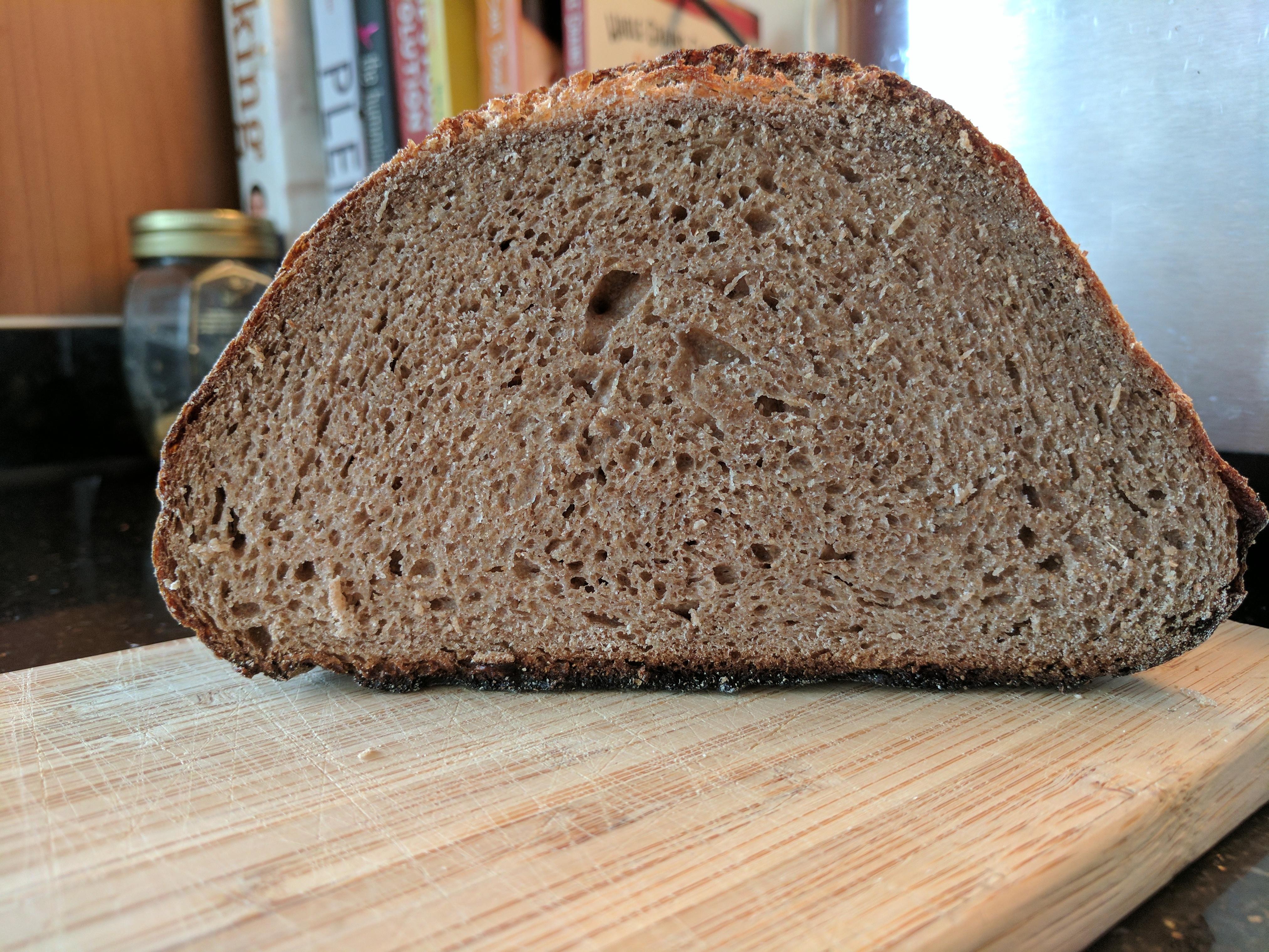100 whole wheat sourdough bread crumb. r/Breadit