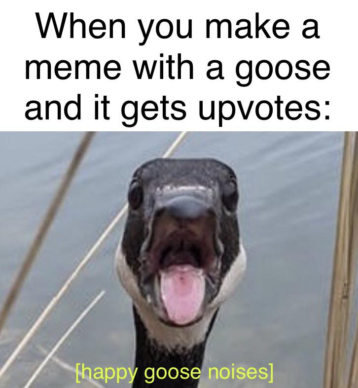 Goose memes always have and always will be great r/memes