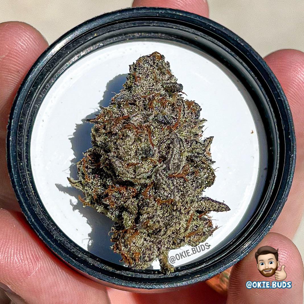 gorilla butter Reddit post and comment search SocialGrep