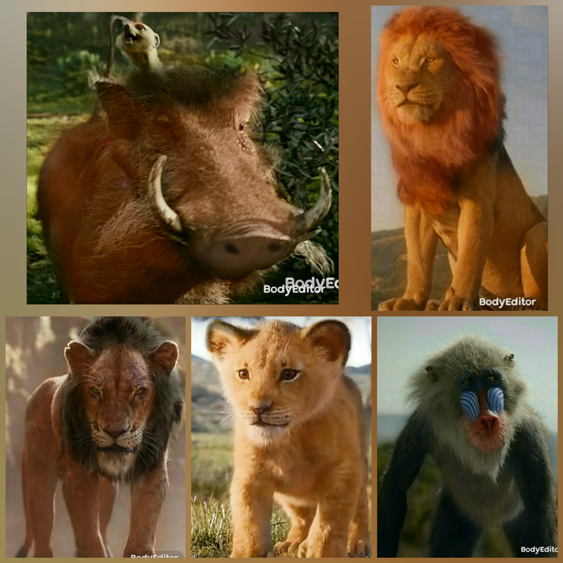 With photomanipulation, this is how Scar, Mufasa, Timon, Pumbaa, Rafiki