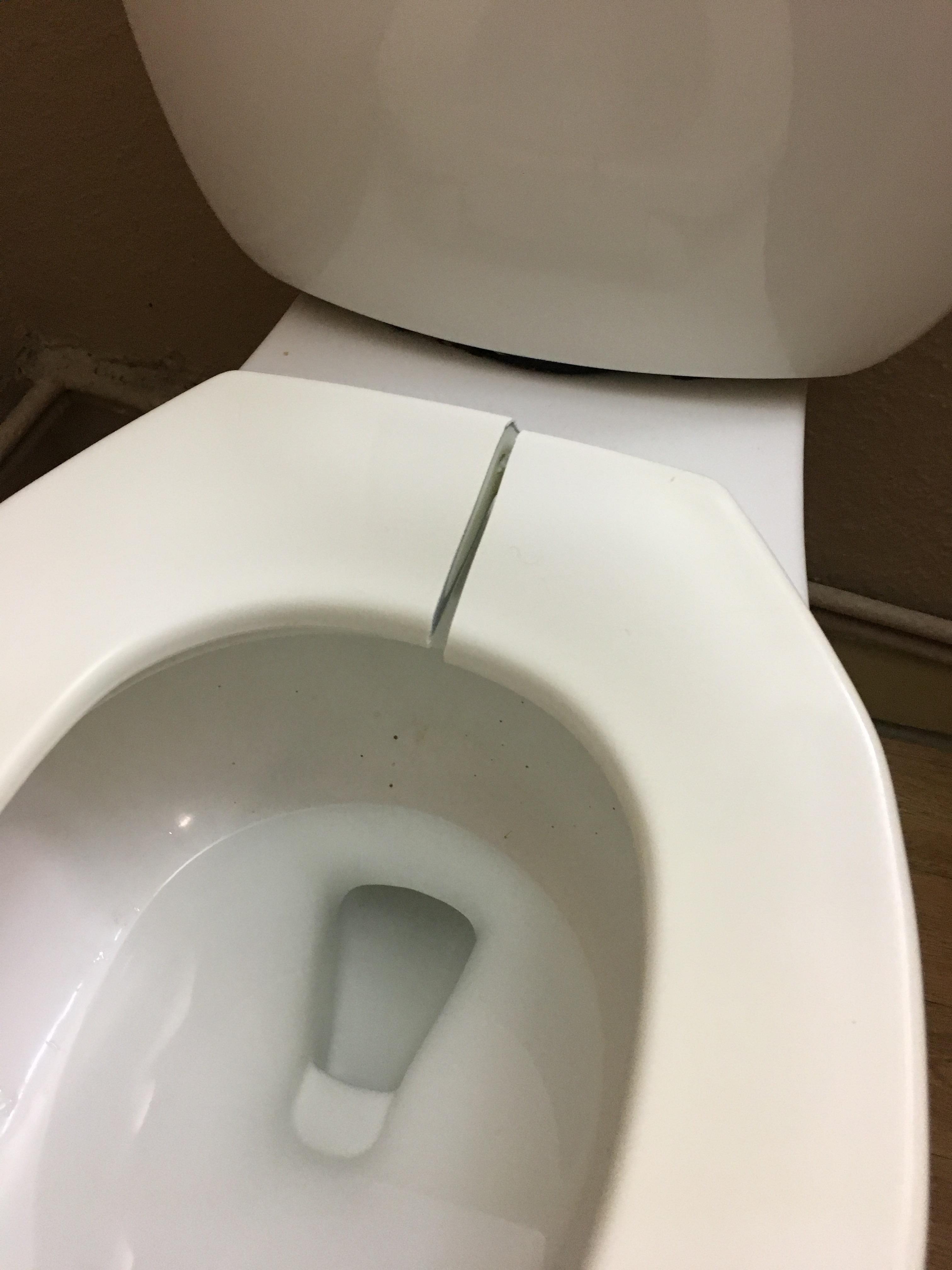Twopiece toilet seat r/Plumbing