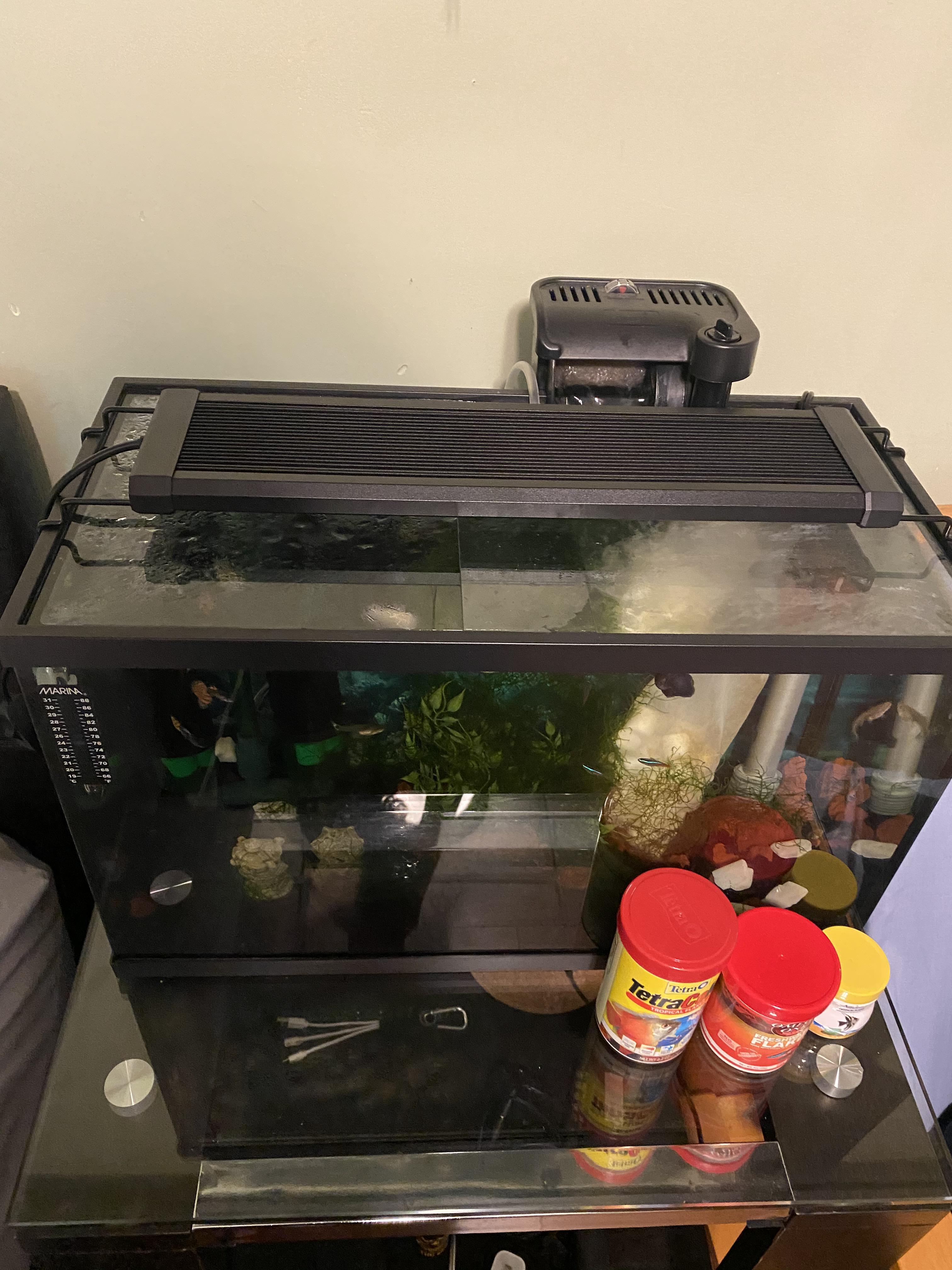 Quick custom glass lid Aquariums