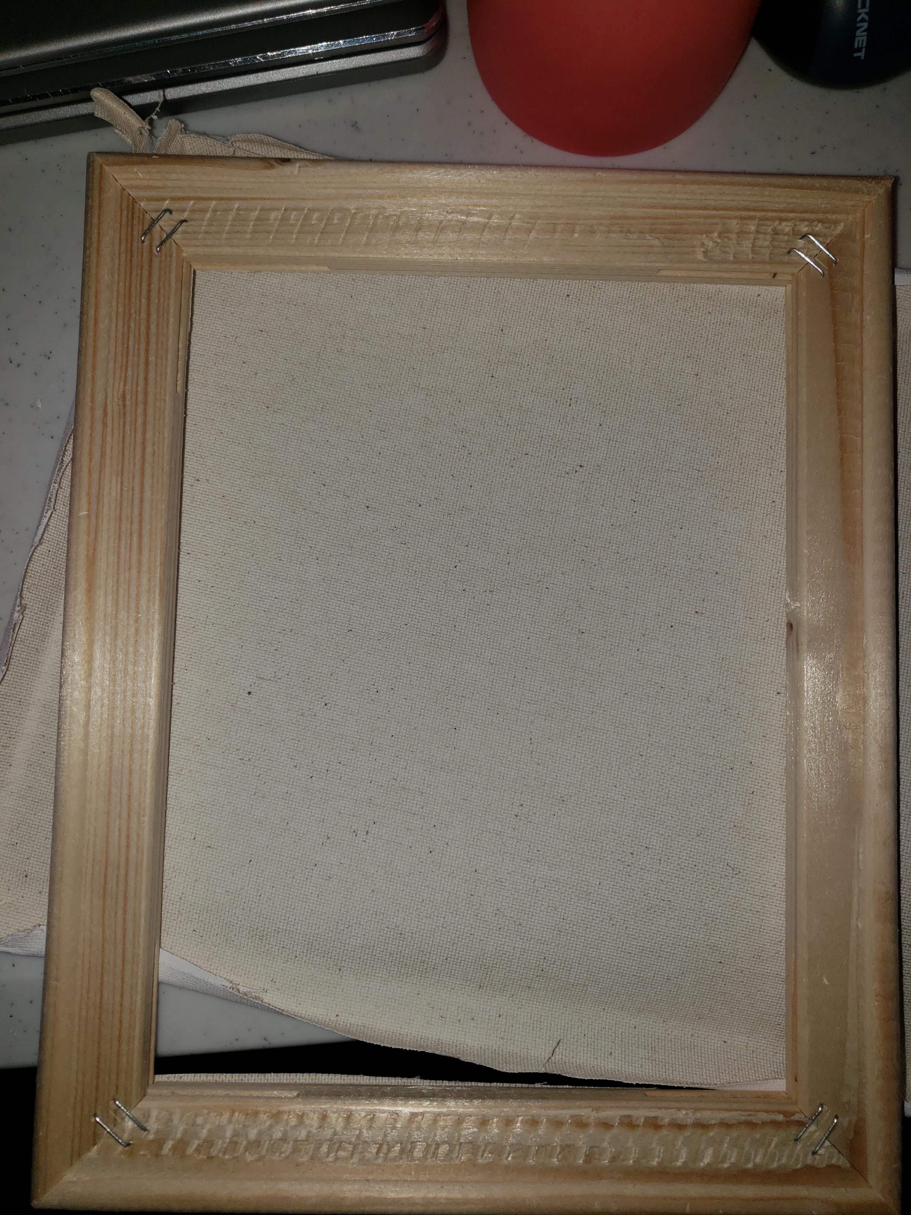 I bought a pack of 10 canvases to test out using for some gifts