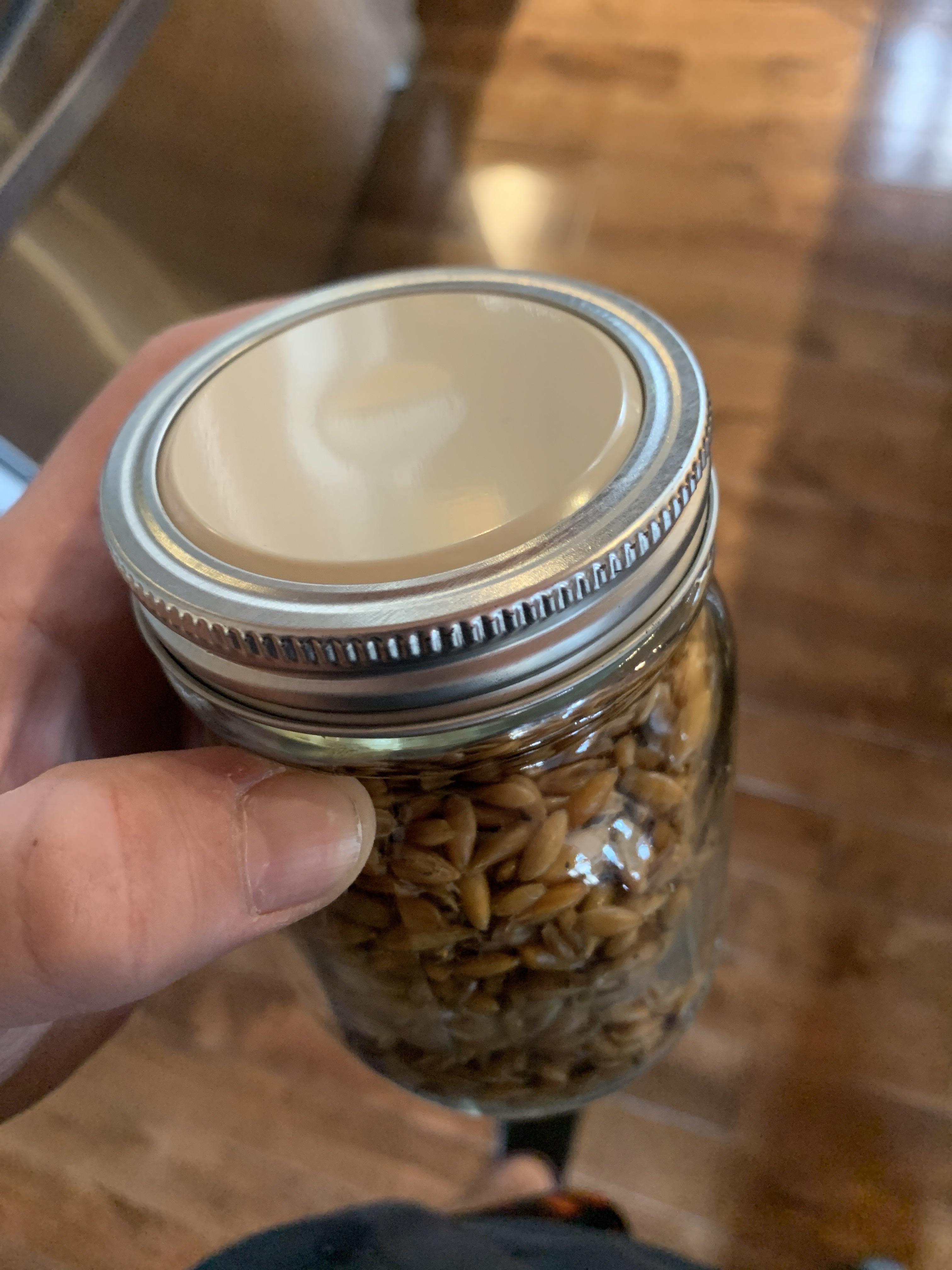 Grain jar question. Has anyone ever done no mod jars? Just flip the lid