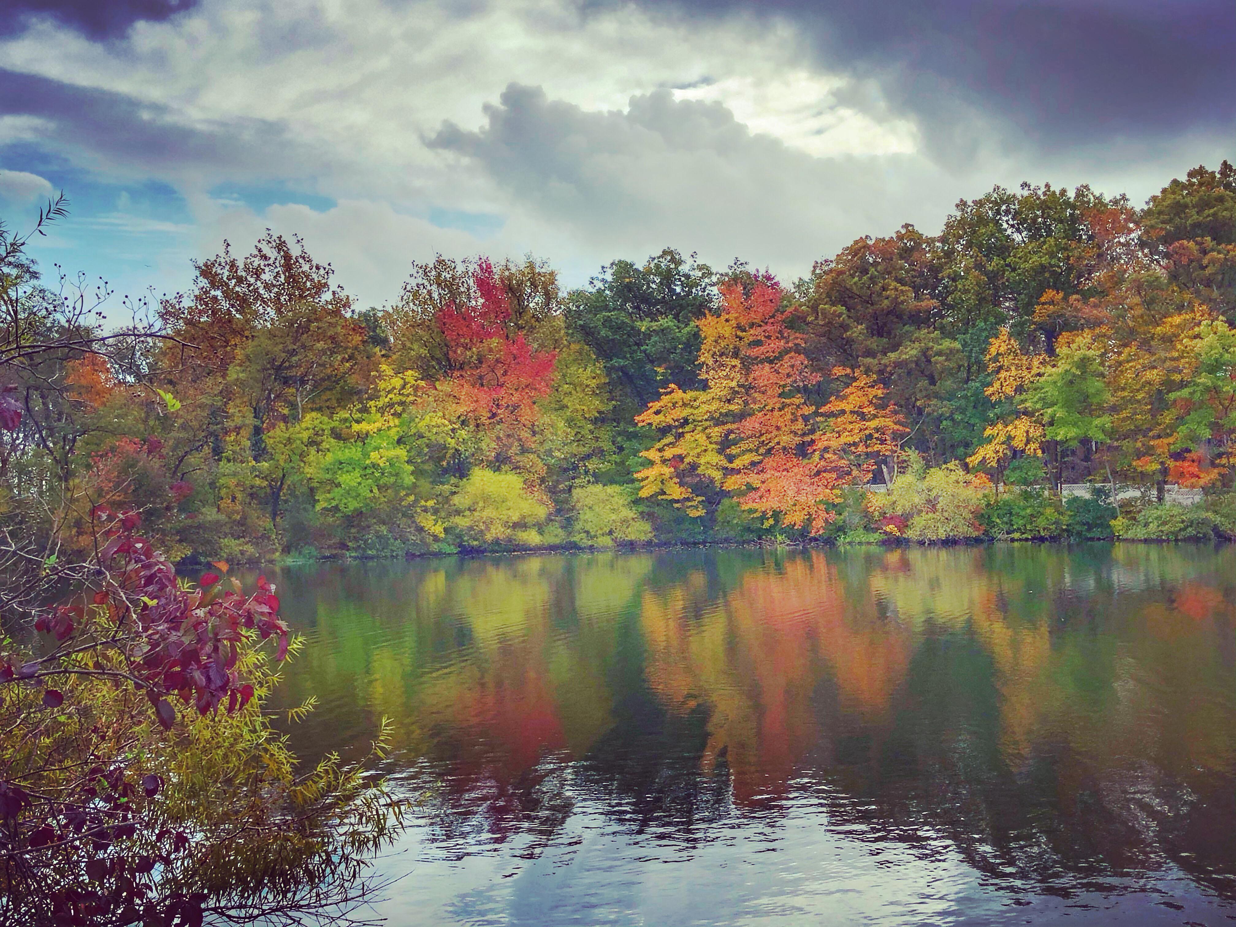 Crystal Lake, West Orange r/newjersey