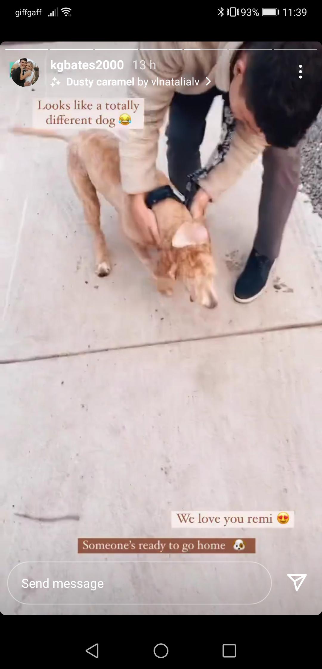 Is that a shock collar? : r/BringingUpBates