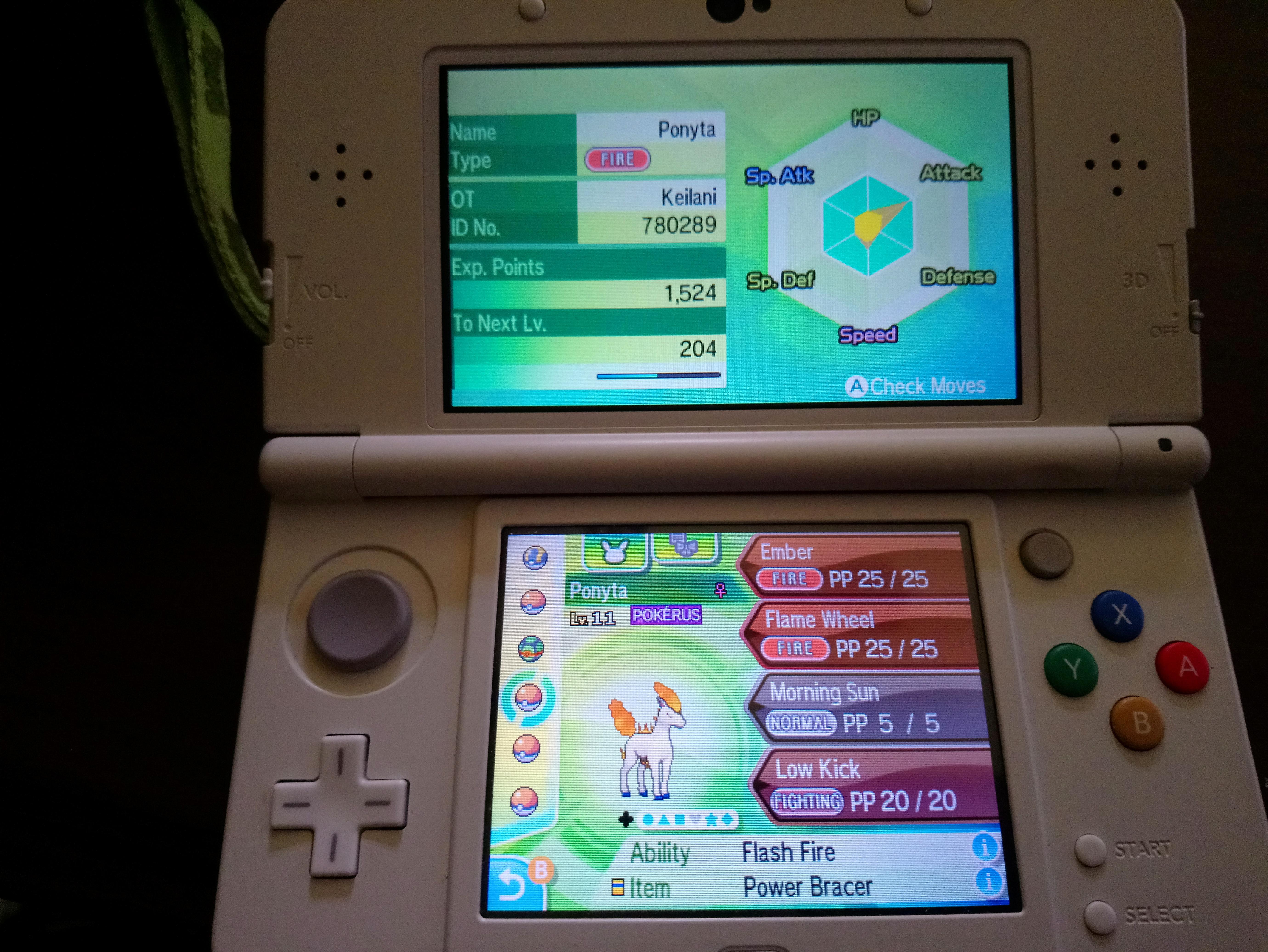 How do Power Items work again? Accidentally gave the Ponyta with