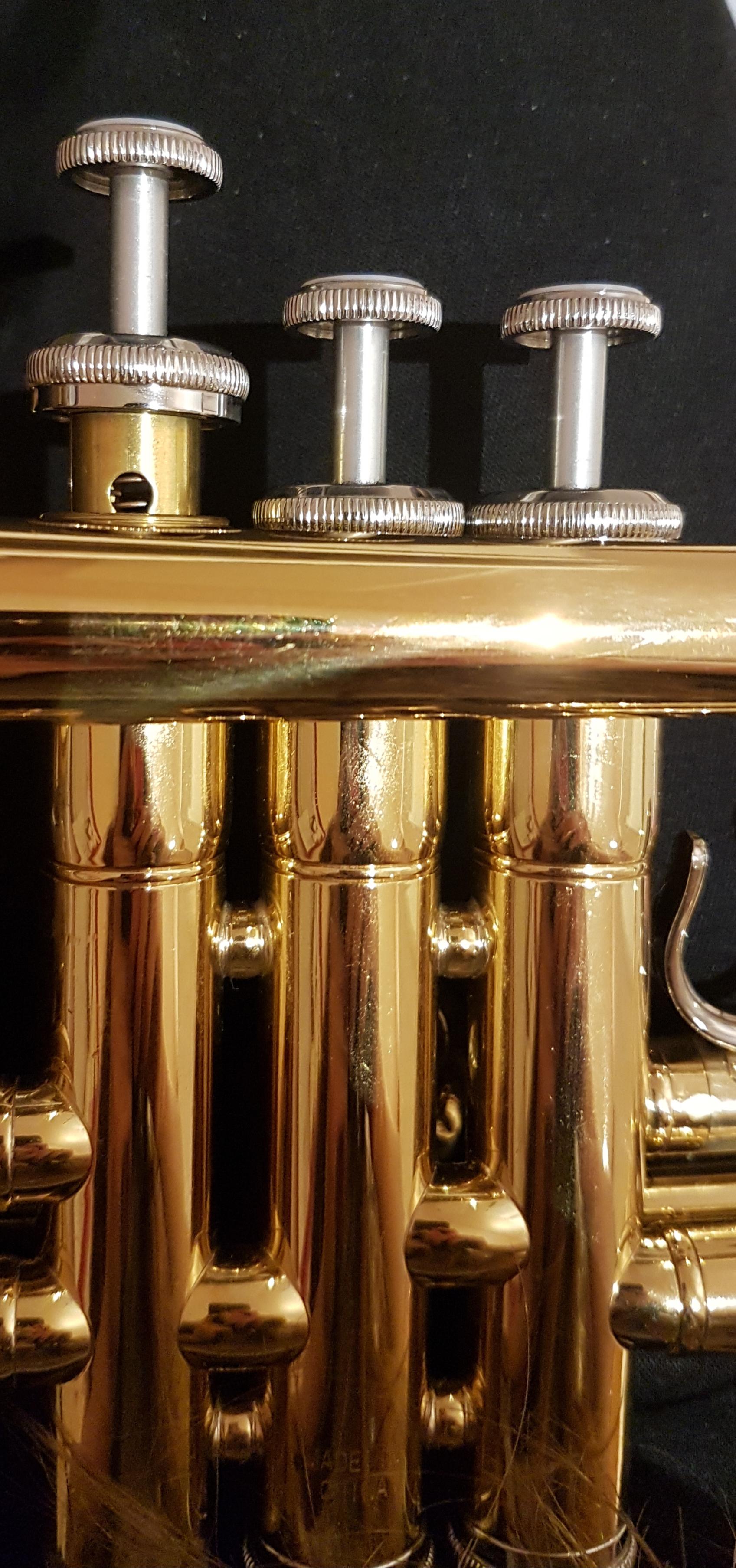 I was trying to put my trumpet valves back in place and this valve got