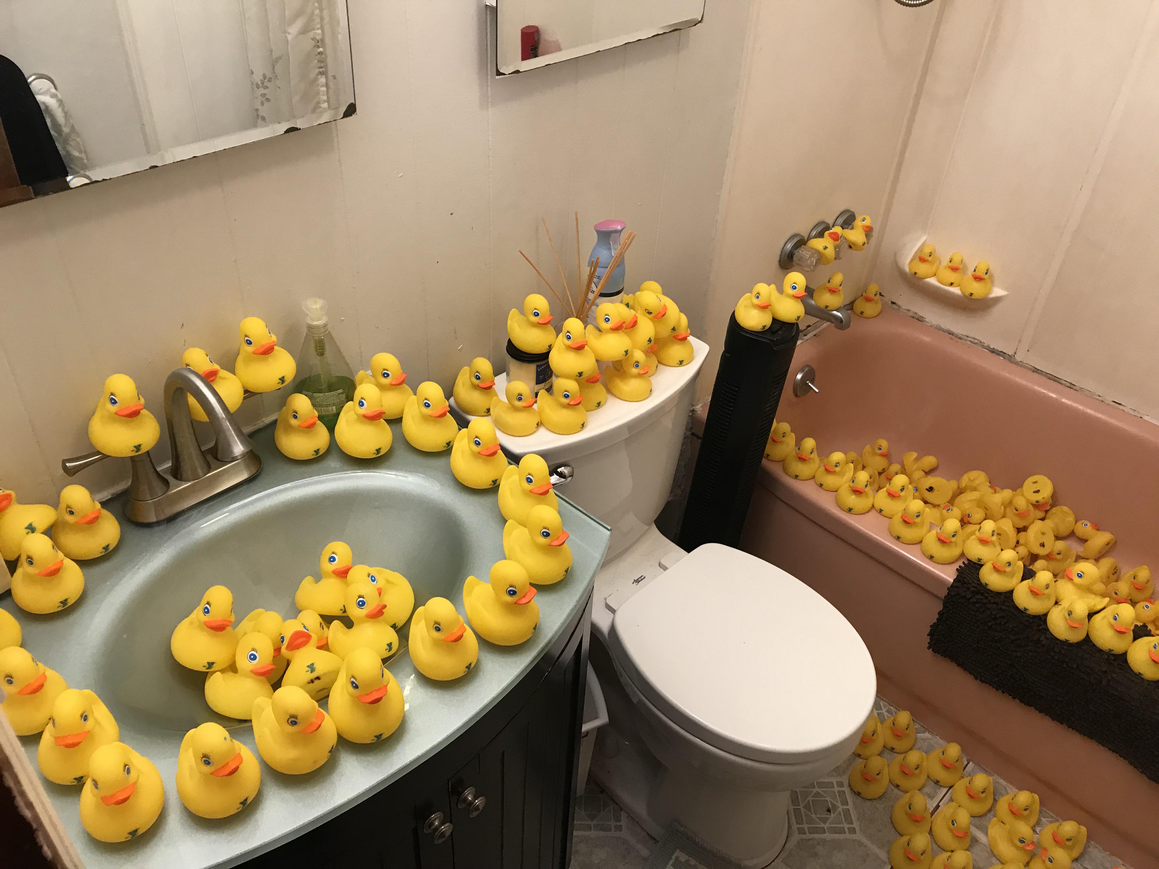 Throw back to when i had over 400 rubber ducks while my wife went away