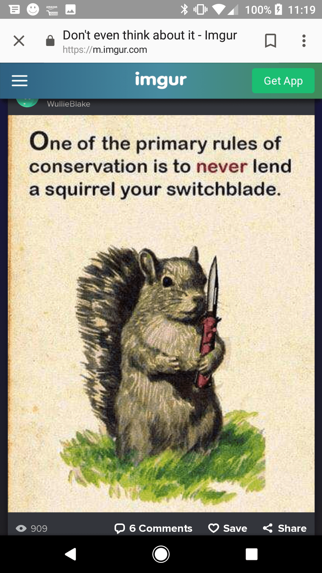 Difference between chipmunk and squirrel gooladeg