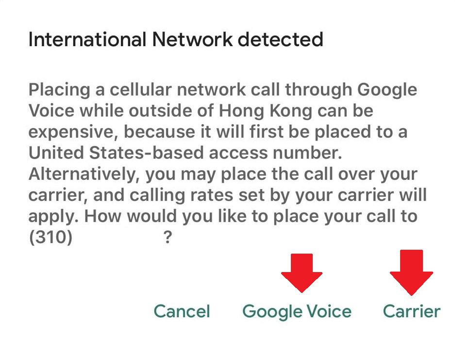 So what does it mean if I use Google Voice vs. Carrier? I don't want to