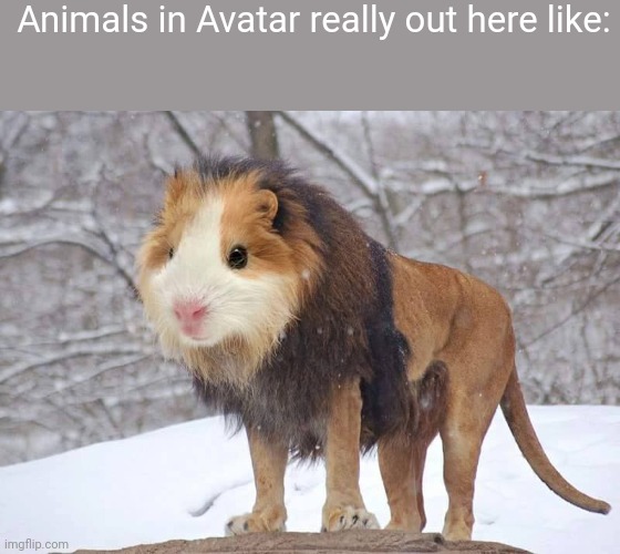 The frantic swiftness of a gerbil and the power and bloodlust of a