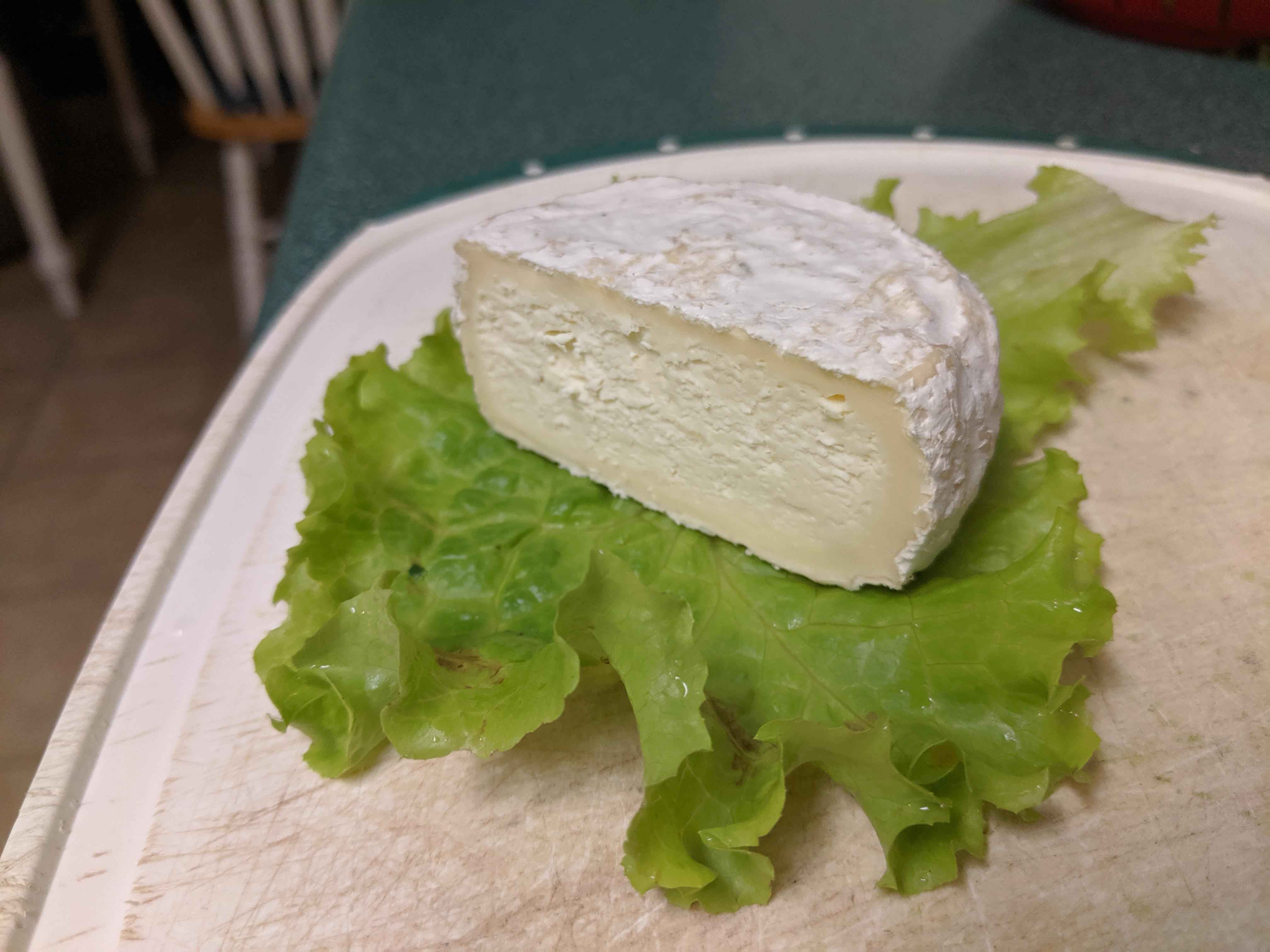 First attempt at Camembert r/cheesemaking