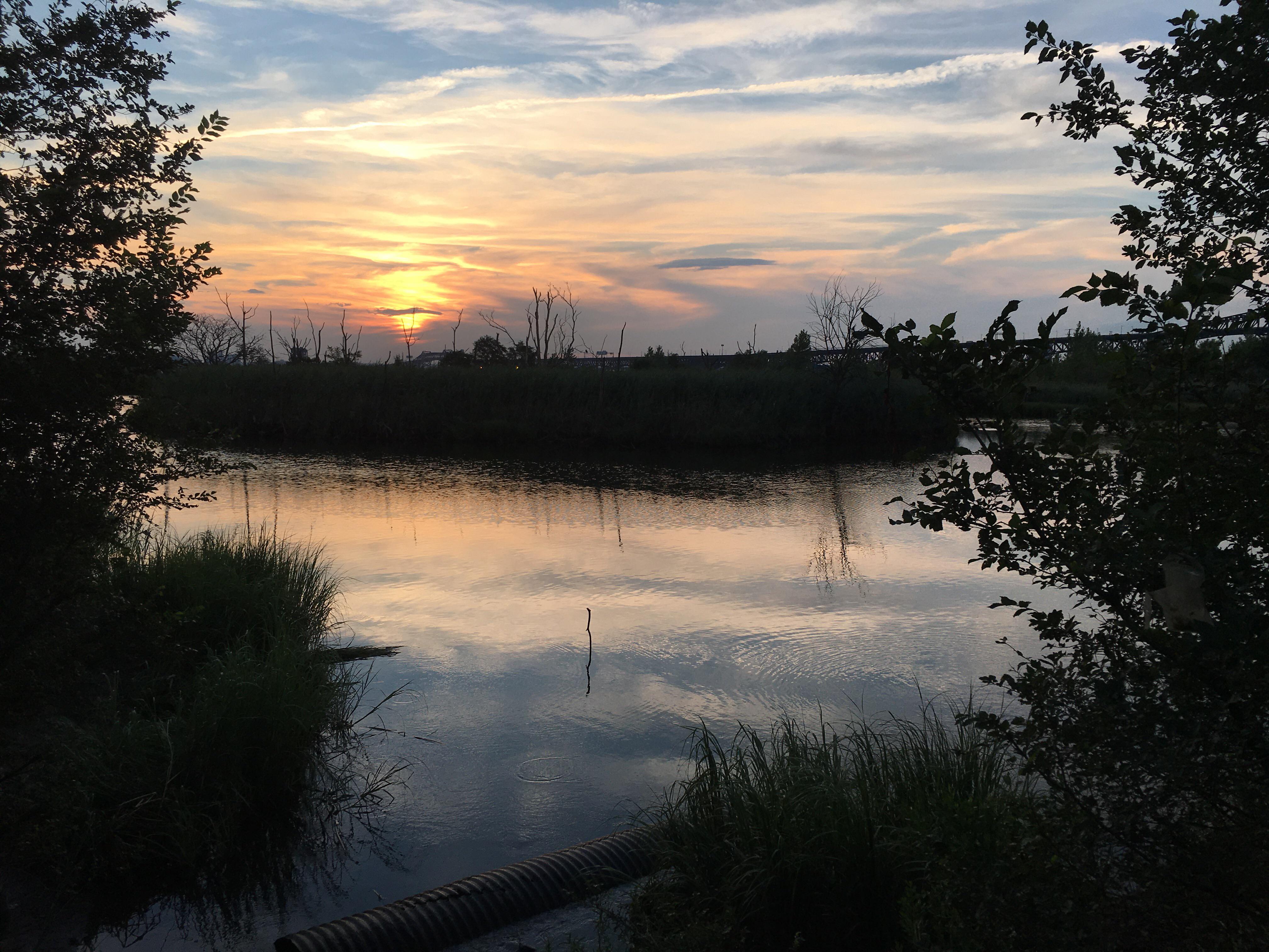 Lincoln Park West at sunset r/jerseycity