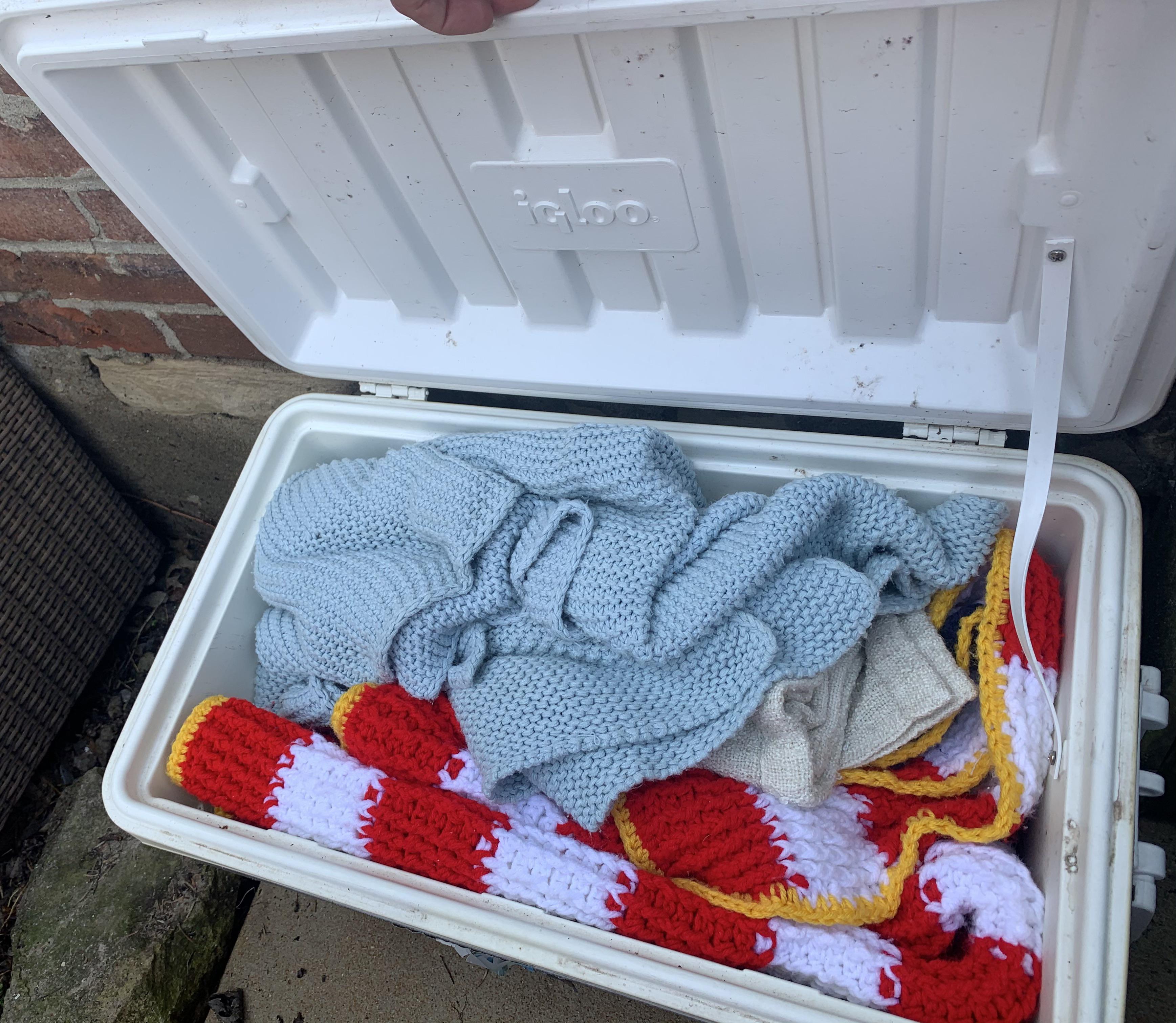 I’m a genius, you’re outdoor blanket storage for cool