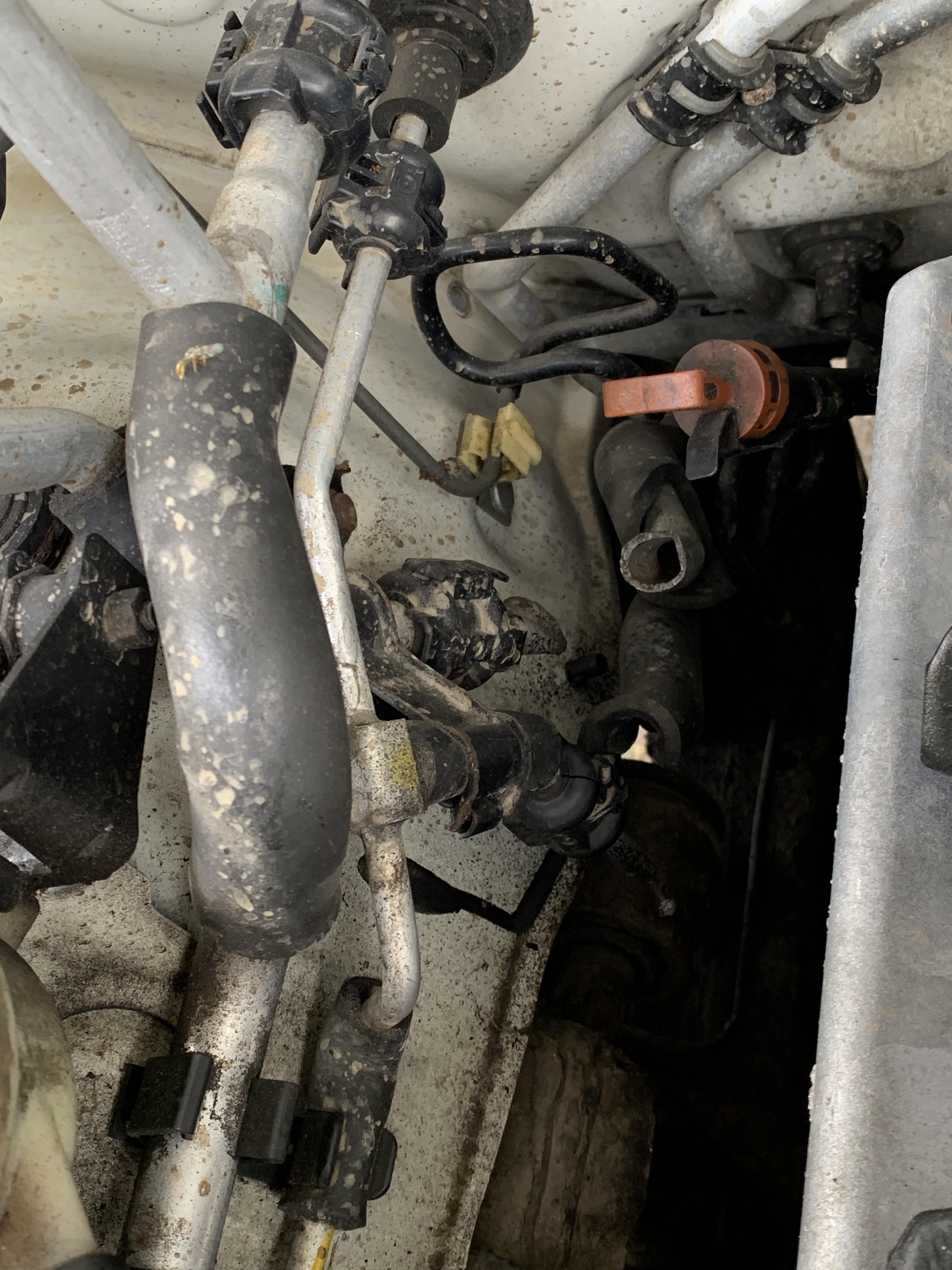 2002 Toyota Sequoia. Noticed I lost oil pressure and popped the hood