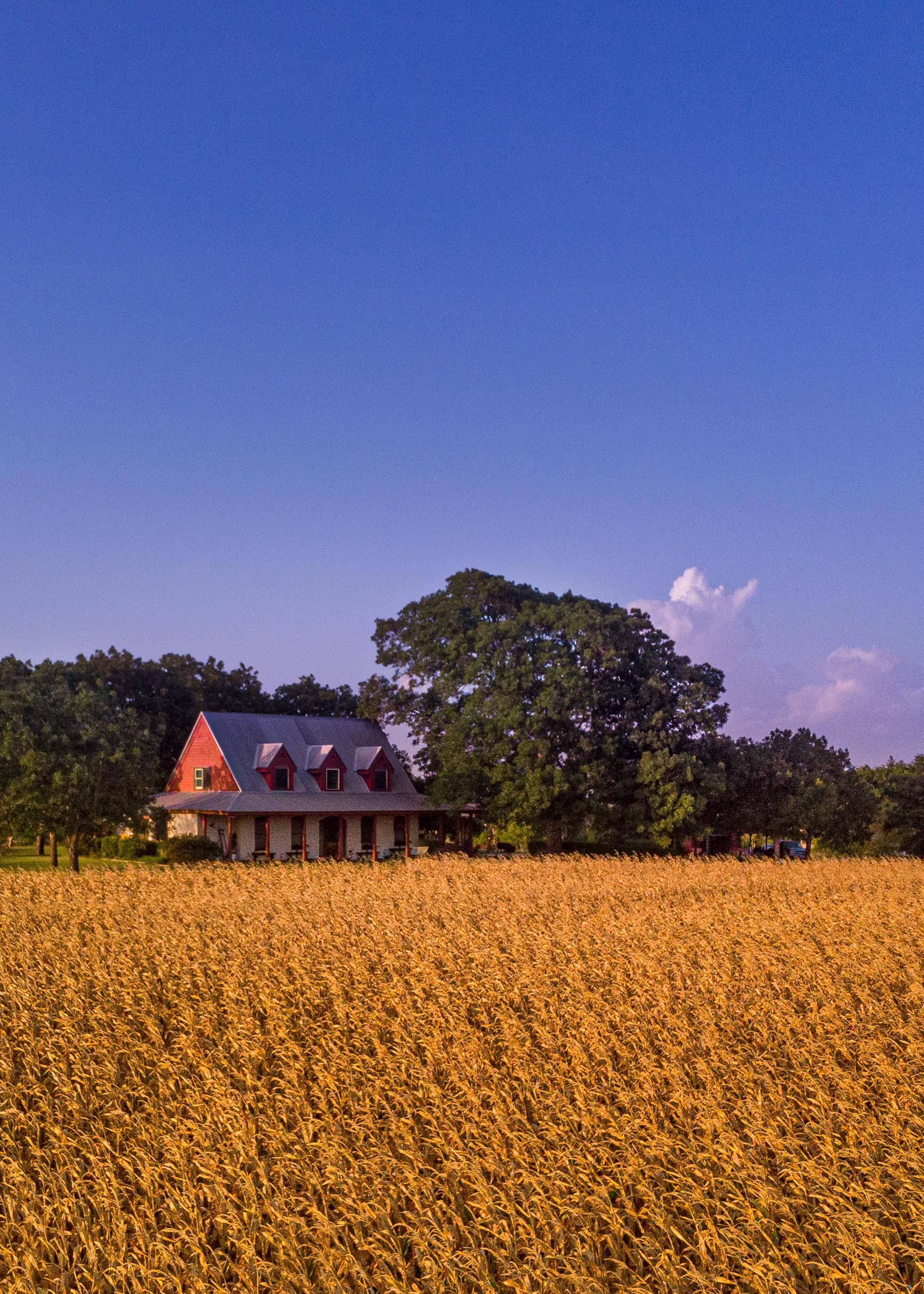 Golden Texas Evening r/texas