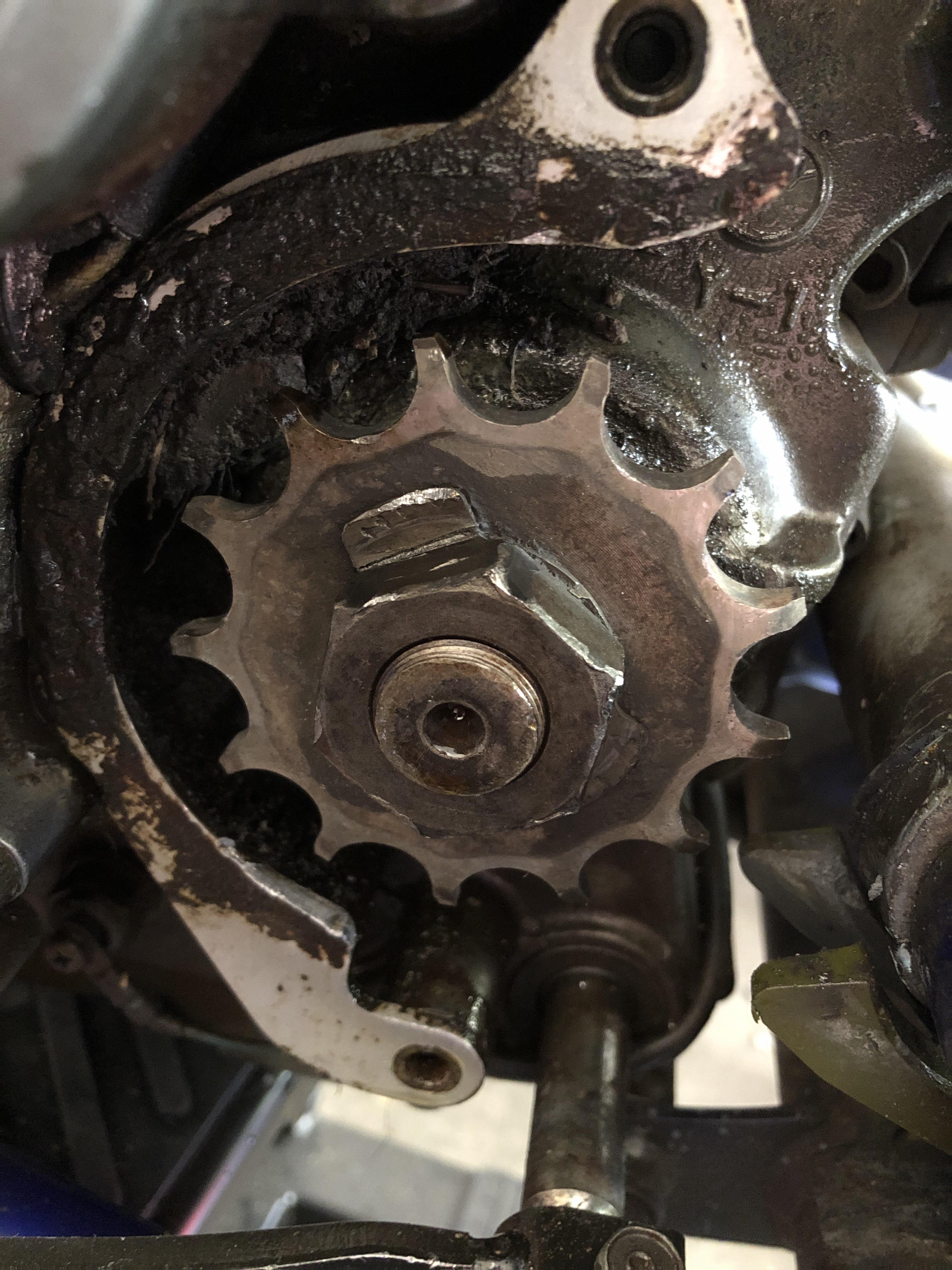 Alright, I need help. I want to replace the chain/sprockets on my