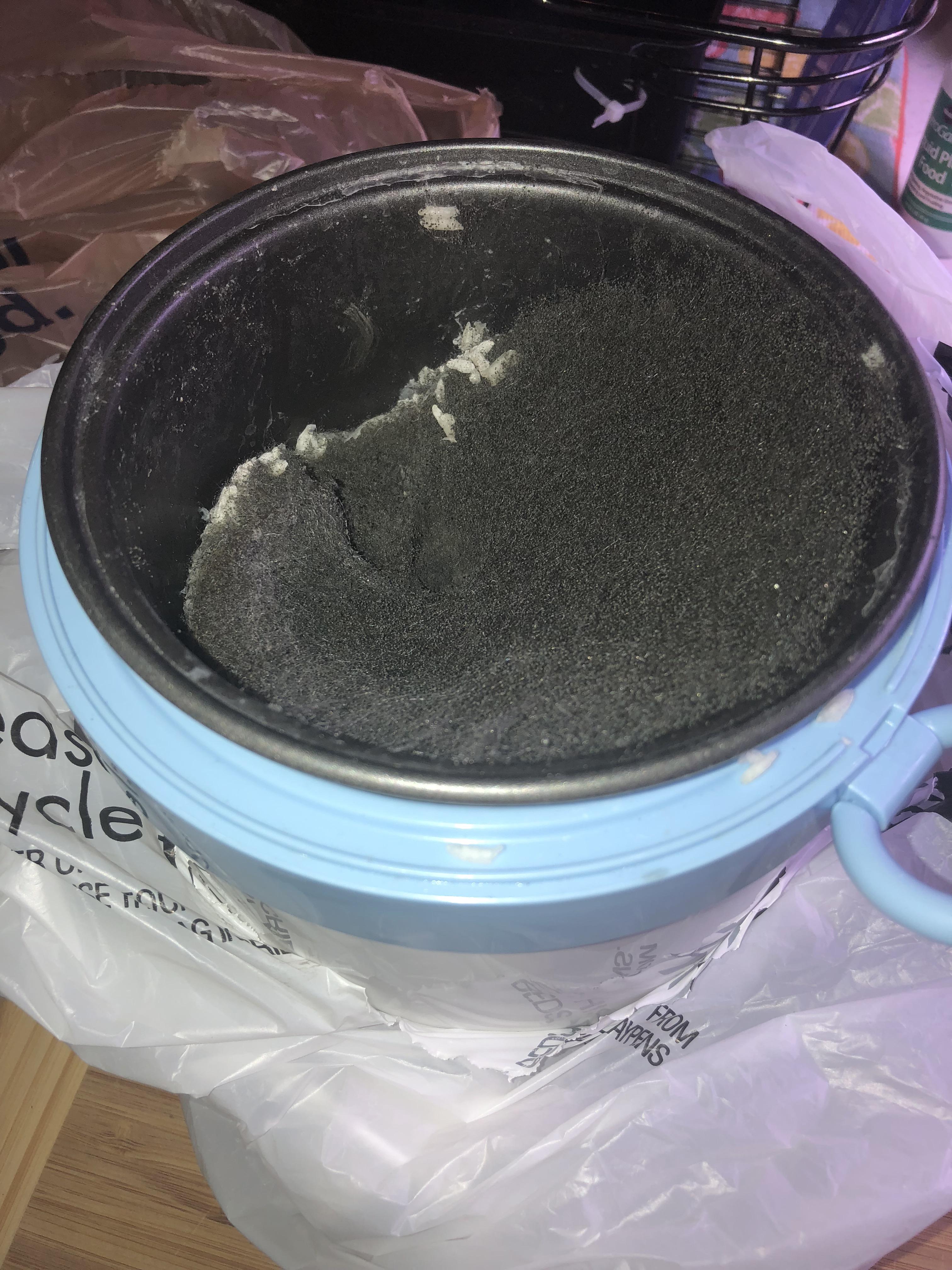 Any idea what kind of mold this is? Grew inside a rice maker after a