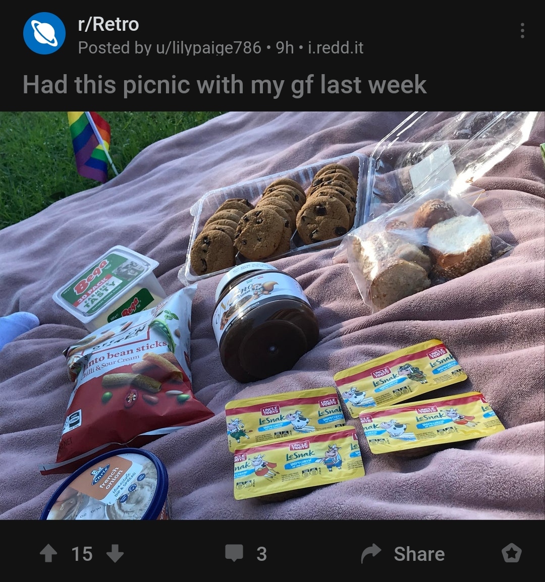 I guess picnics are retro? r/lostredditors