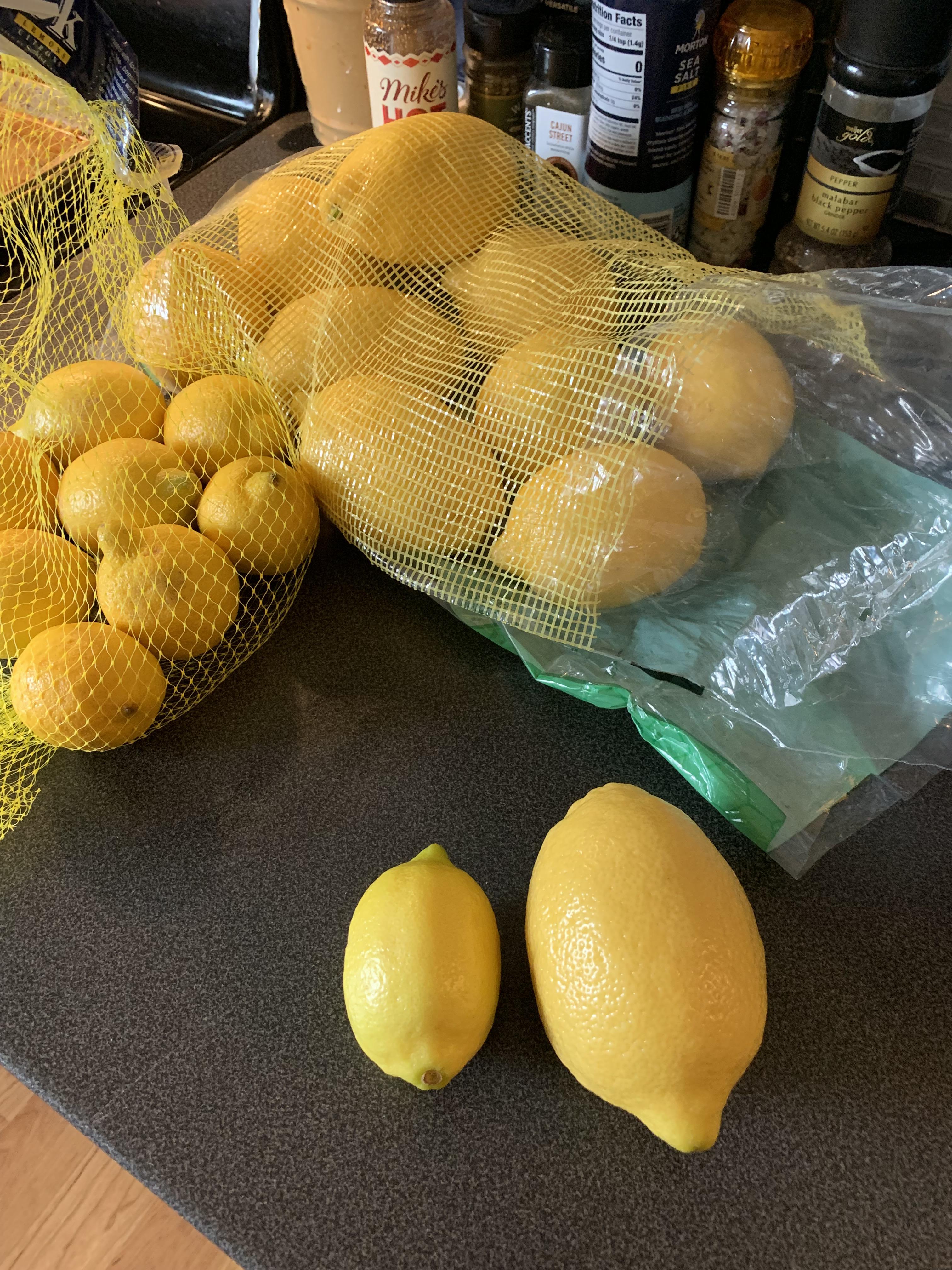 The lemons are giant again! Meijer lemons vs Costco lemons. r/Costco