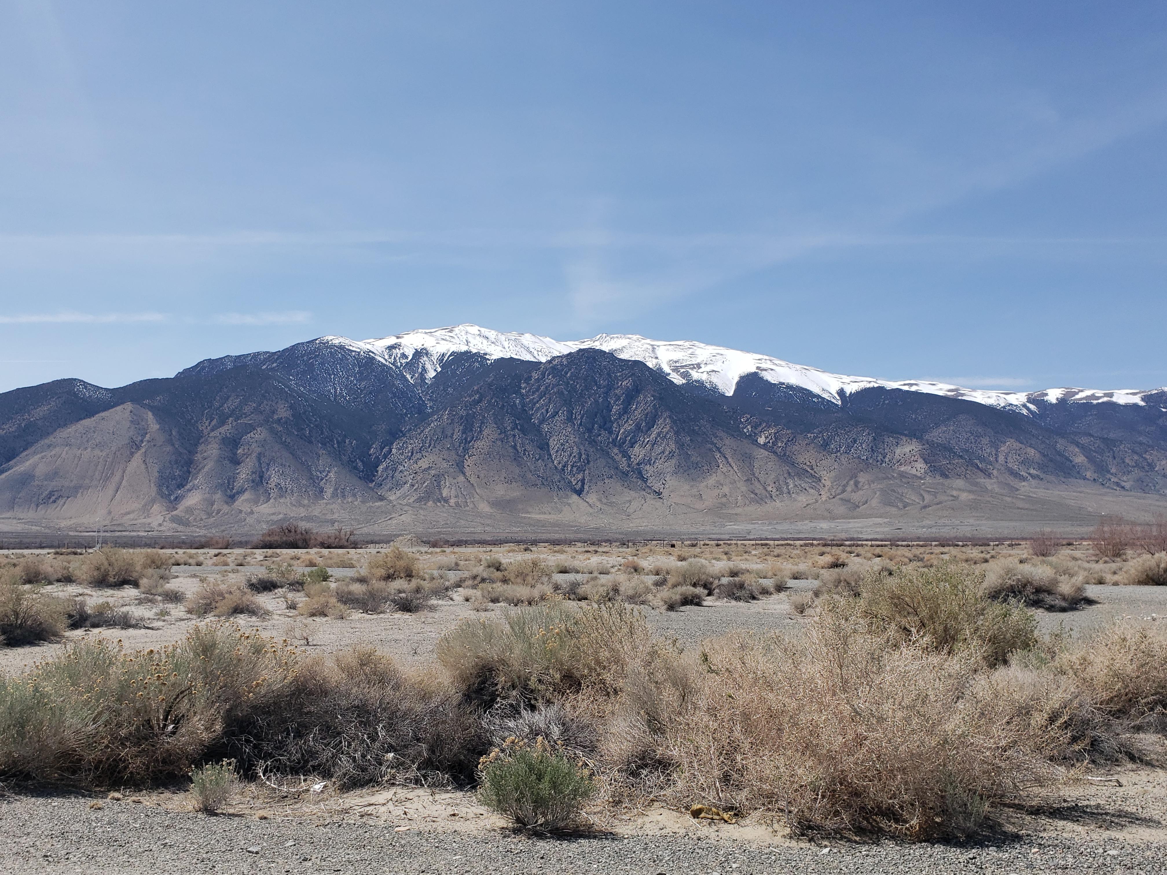 Mt. Grant Hawthorne, NV. r/CampingandHiking