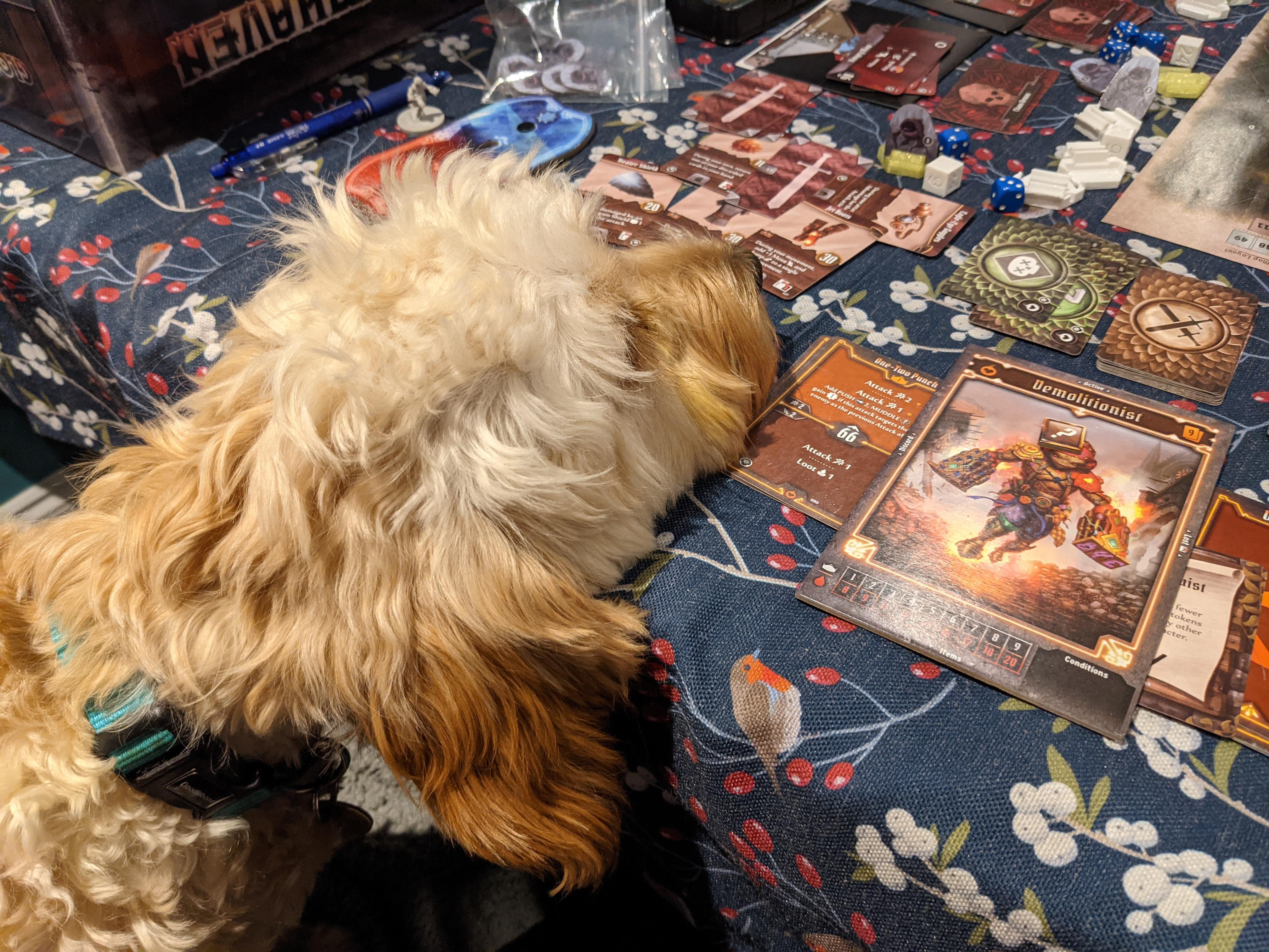 Demolitionist player exhausted and fell asleep with head on table. What