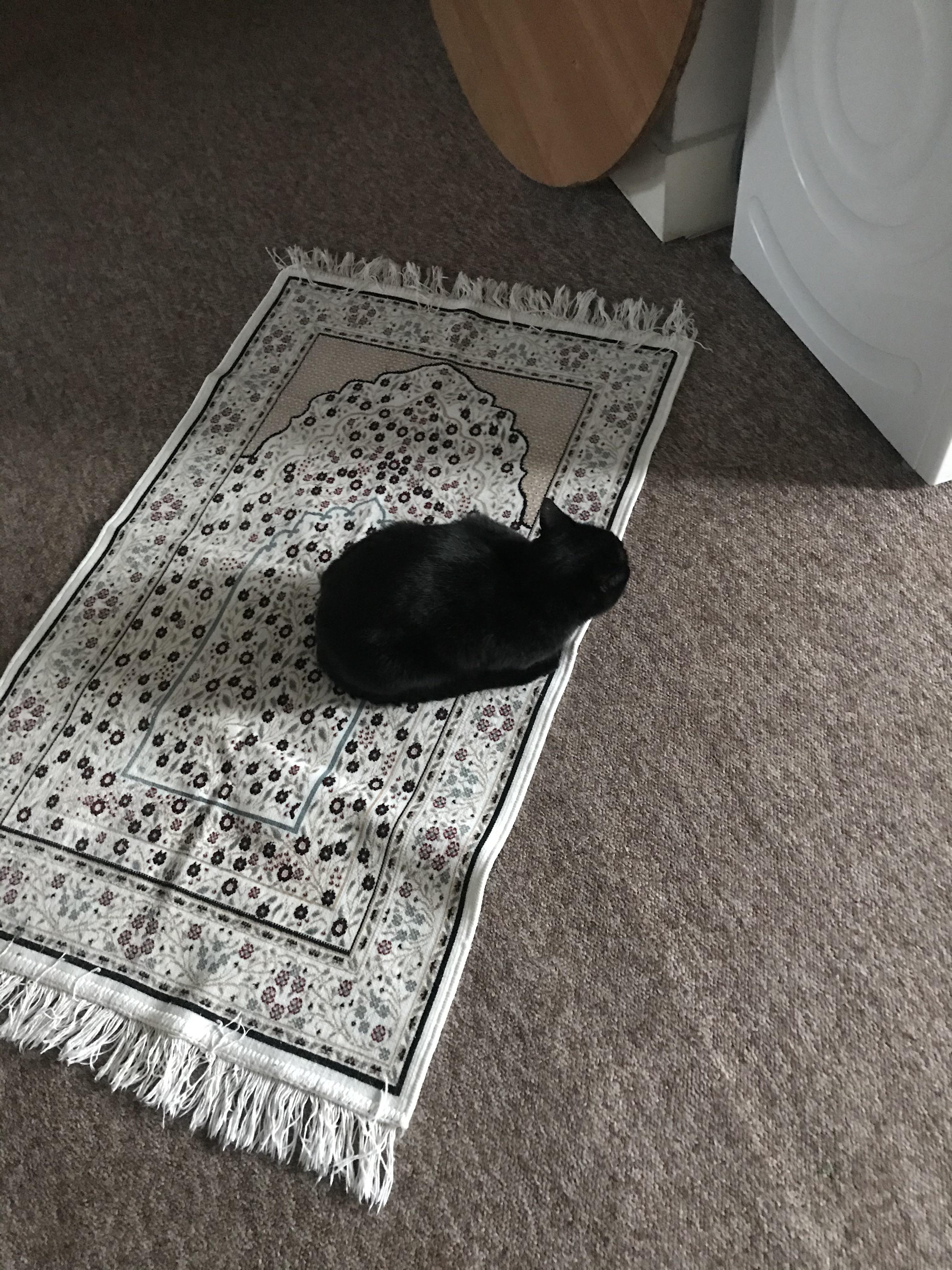 She might have the qibla wrong but her heart is in the right place 🥰