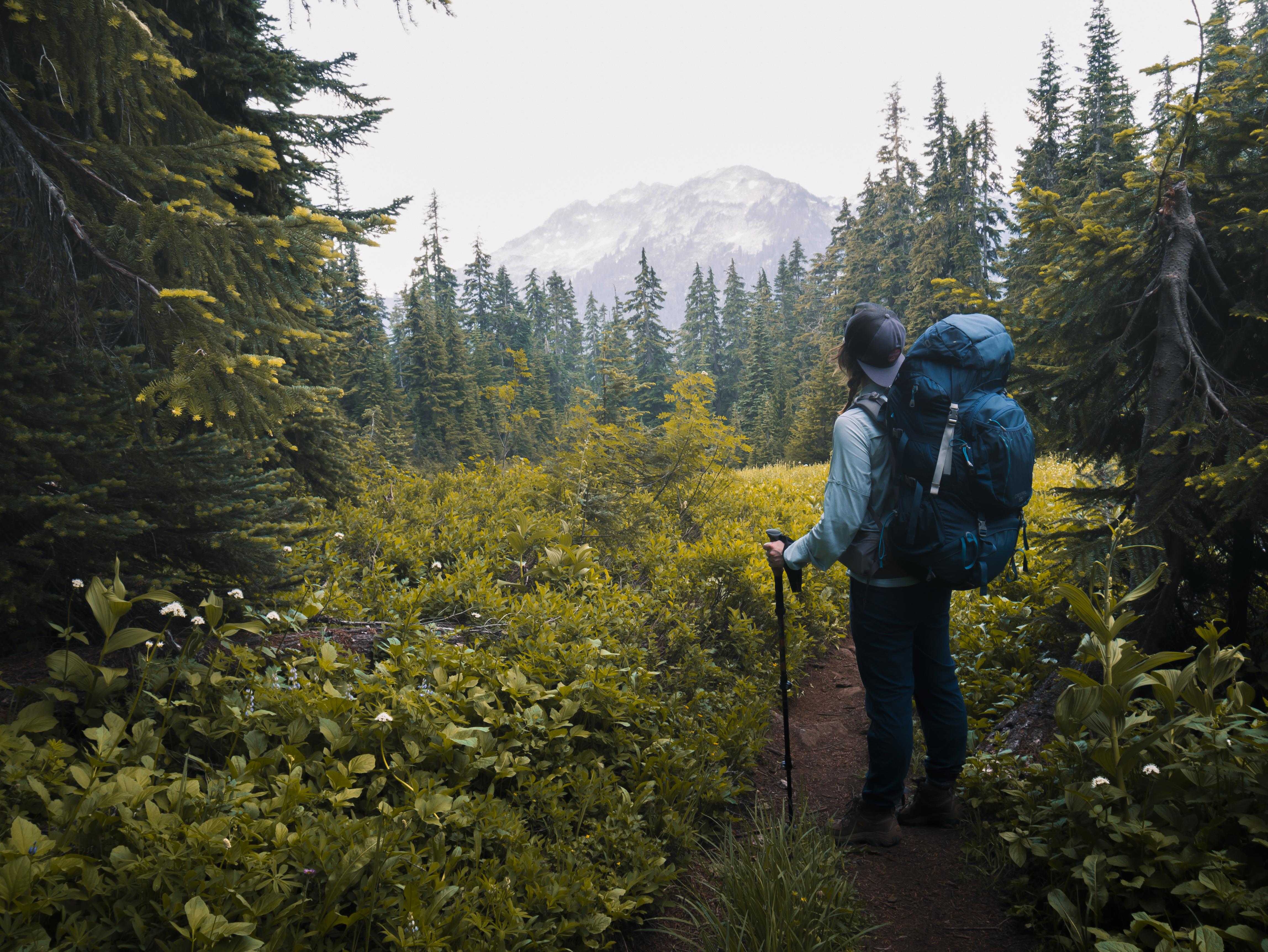 Foggy backpacking in the Alpine Lakes Wilderness Washington State r