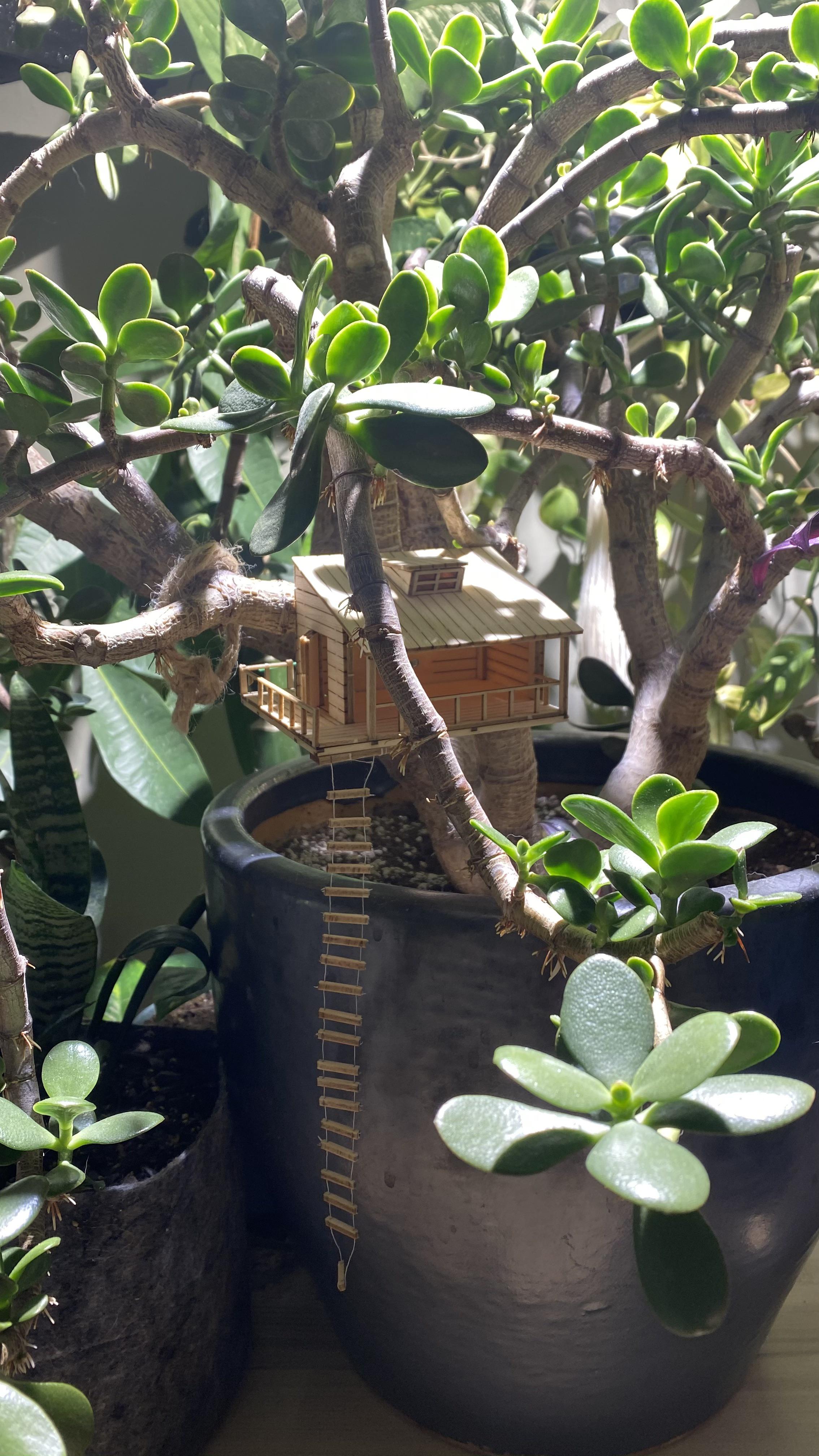 50 best u/akopley images on Pholder Houseplants, Amateur Room Porn