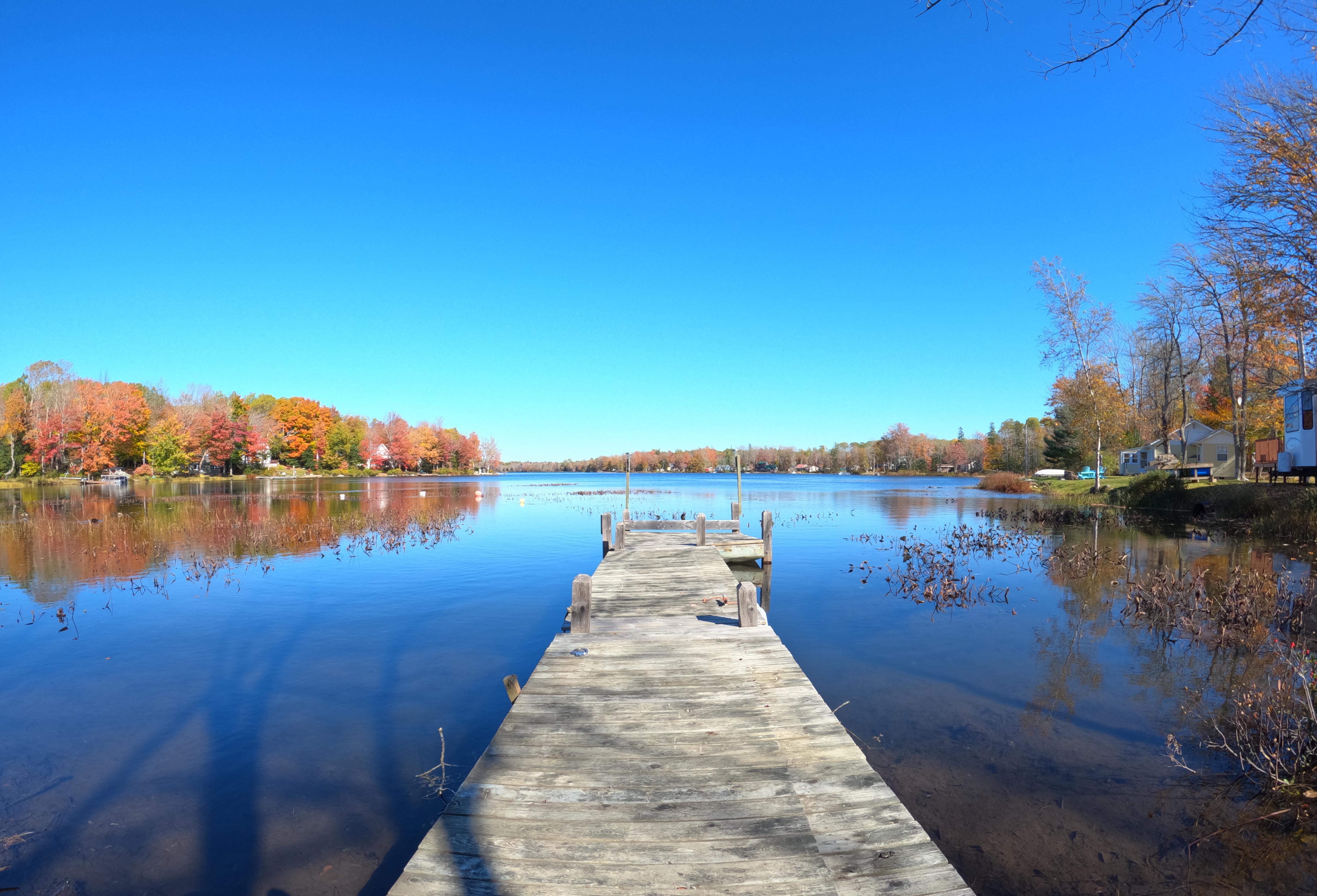 October Leaves Sunken Lake, Kings Co. r/NovaScotia