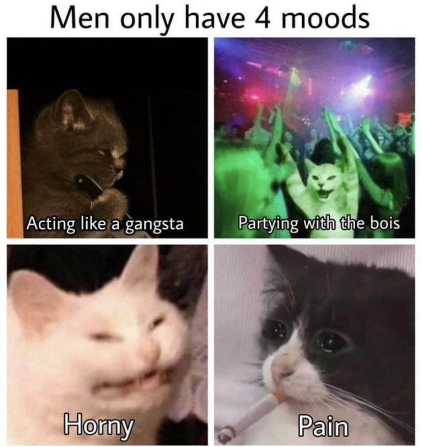 Am man, can confirm memes