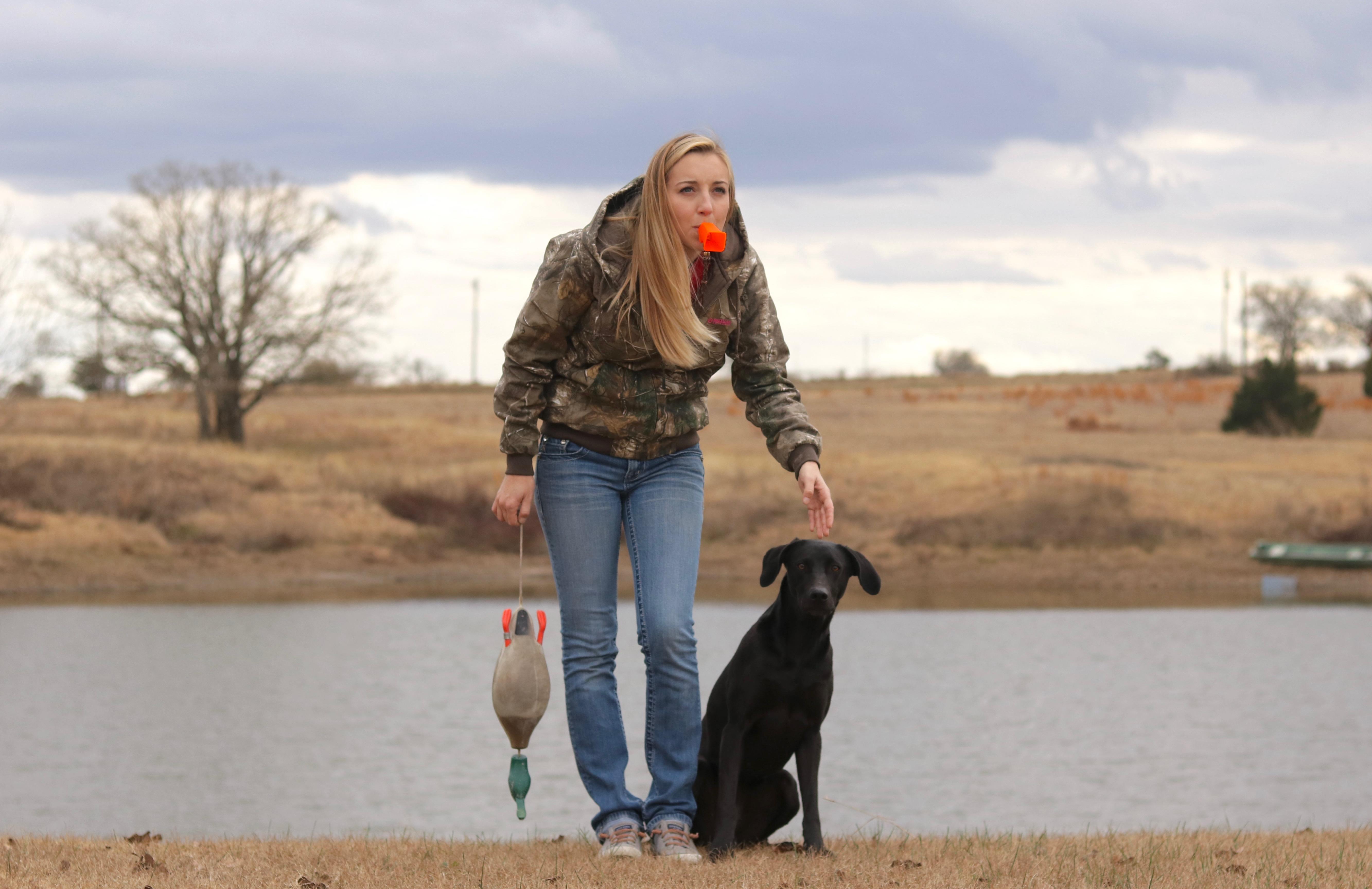 Doing some Gun dog training. Anymore bird dogs out there? r/Dogtraining