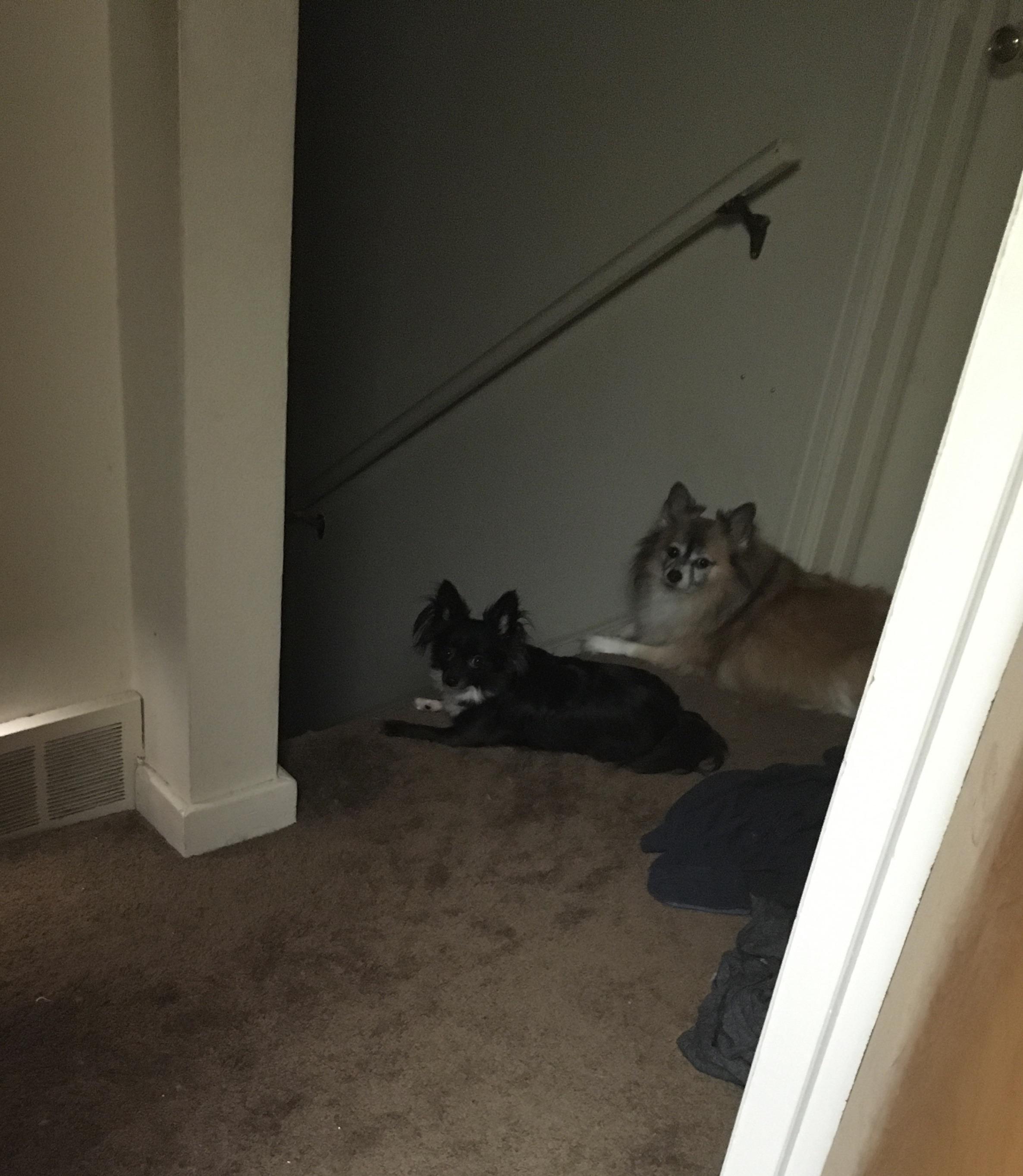 When you open the bathroom door to find a cute protest party for