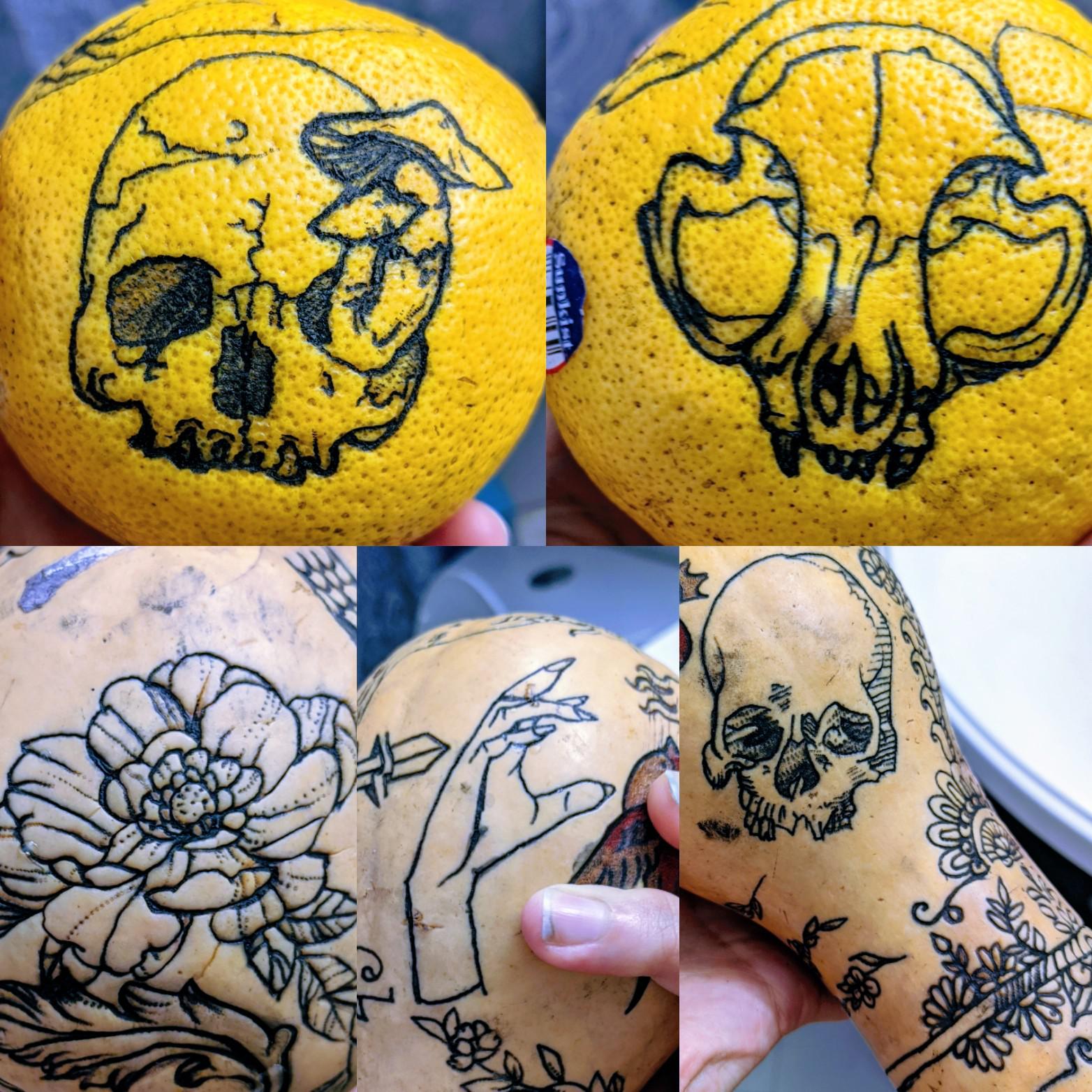 63 best Pompano Beach images on Pholder Fishing, Florida and Scuba