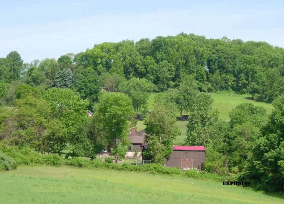 Pickle Road in Califon, NJ r/newjersey